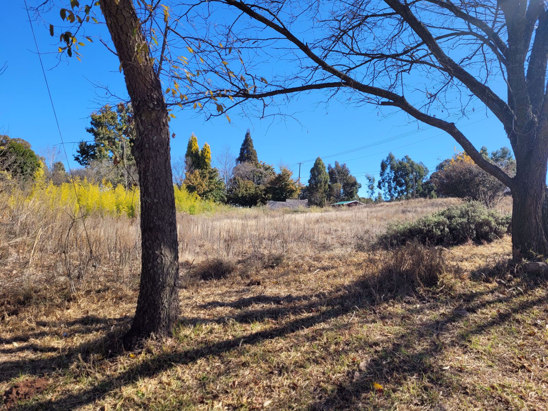 900 m2 Vacant Land For Sale Dullstroom 1DS1575687 Pam Golding