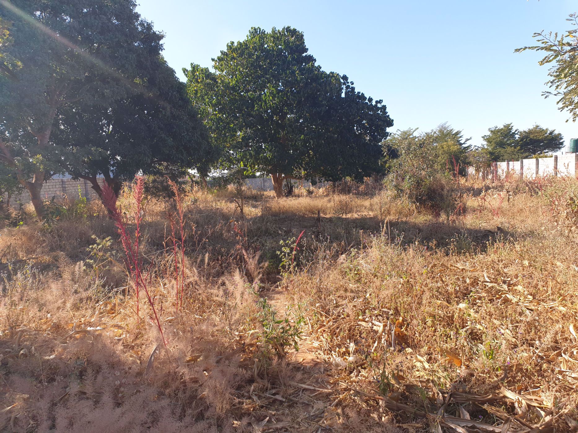 5000 m&sup2; vacant land for sale in Foxdale (Zambia)