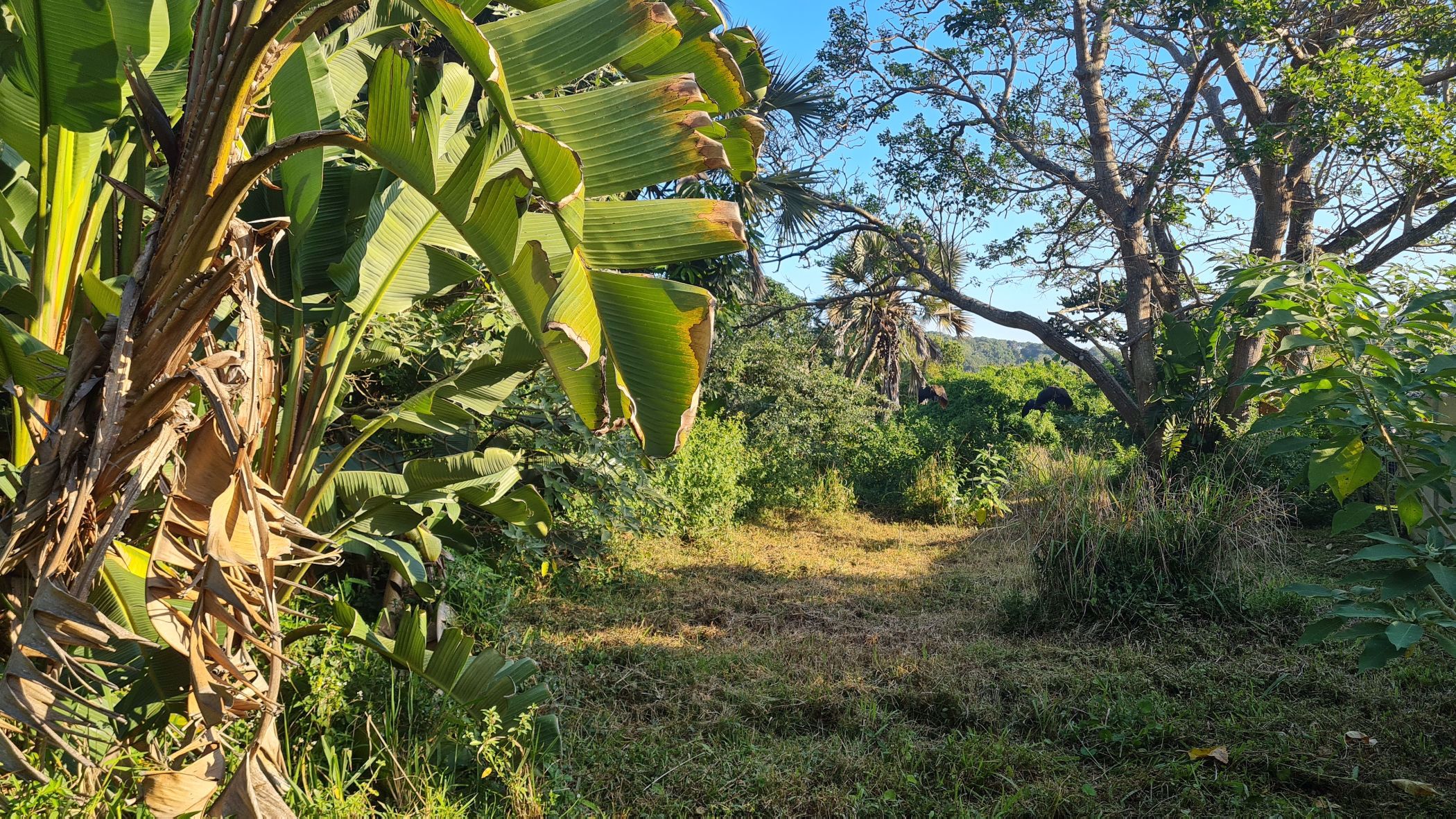 1475 m2 Residential Vacant Land For Sale Glenmore Beach 1PD1572960