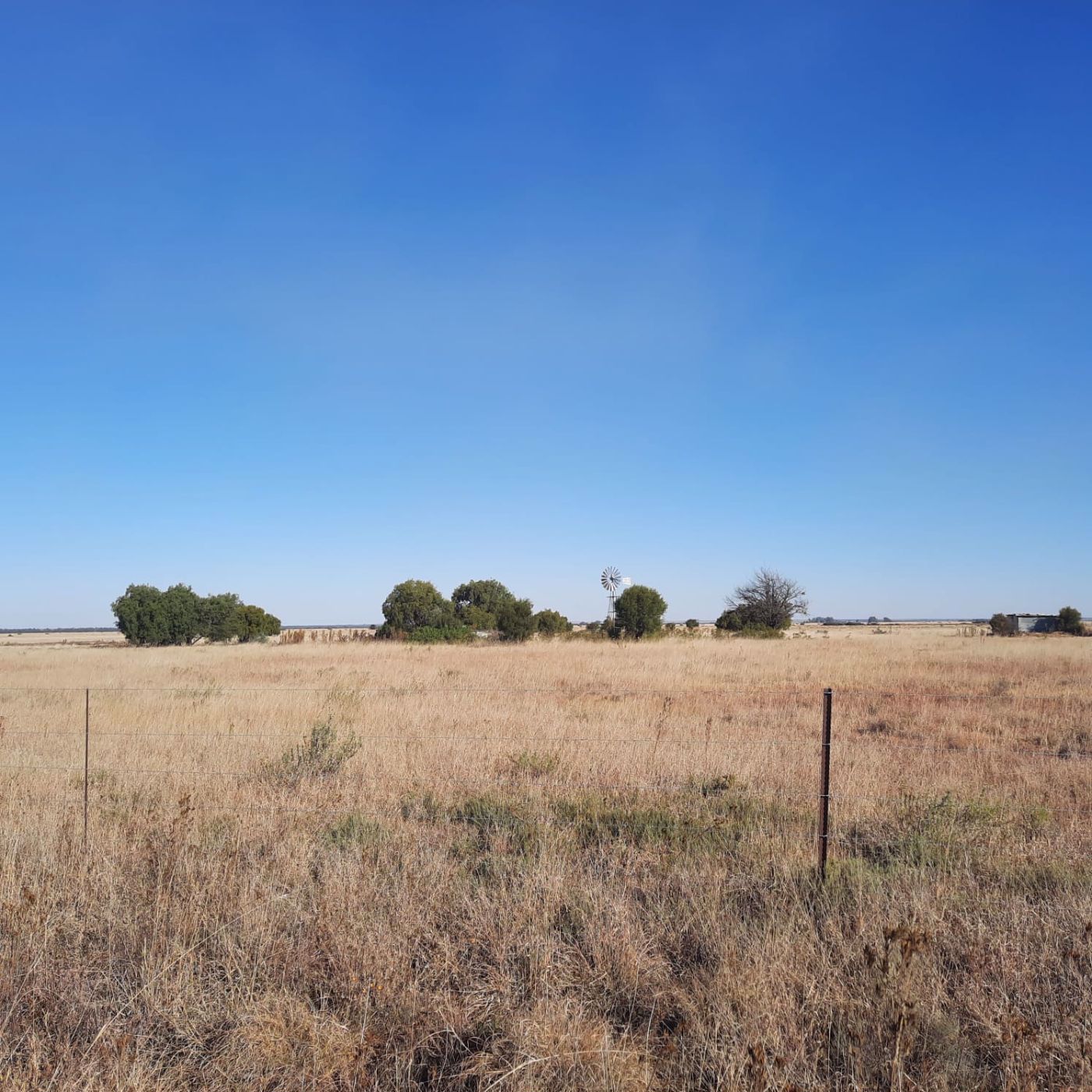 2258.61 hectare Livestock Farm For Sale Bloemhof (North West Province