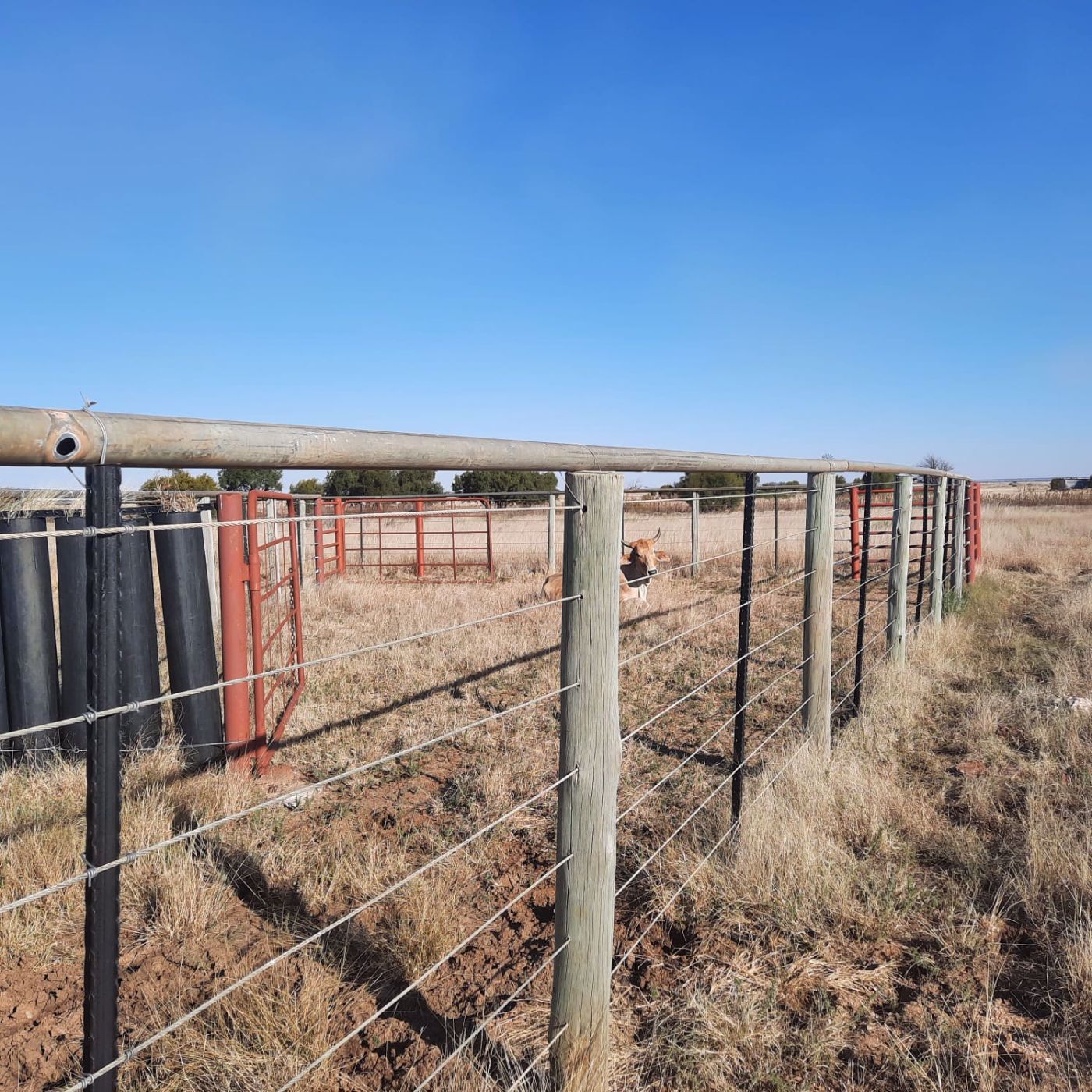2258.61 hectare Livestock Farm For Sale Bloemhof (North West Province