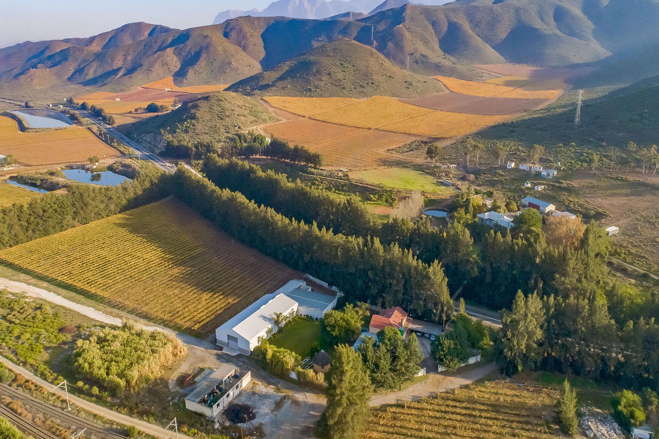 65.73 hectare Fruit Farm For Sale Worcester Rural TK1574007 Pam