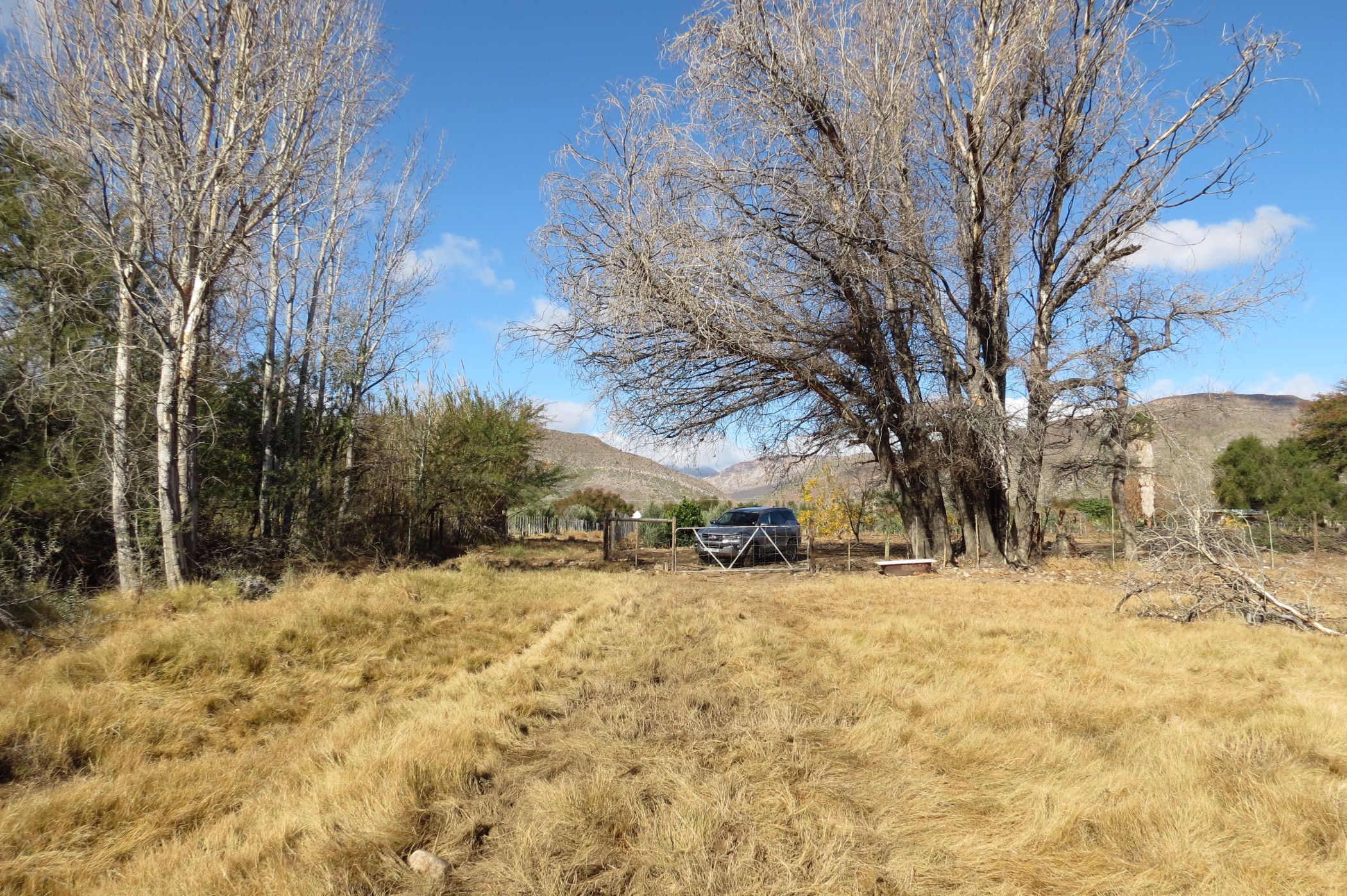 8.8 hectare Olive Farm For Sale Prince Albert 1KK1574265 Pam