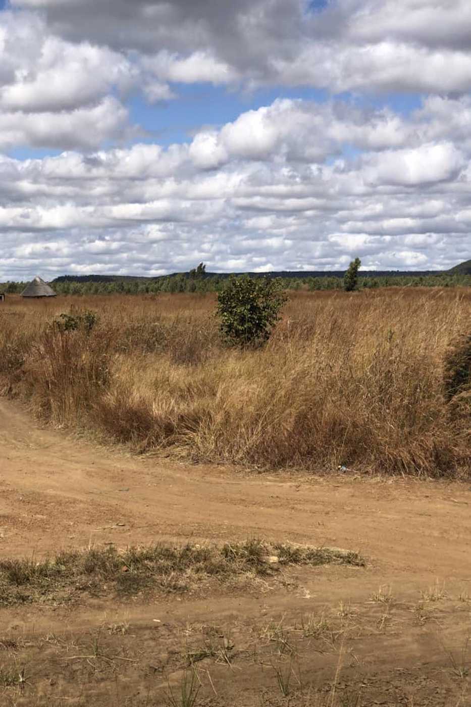 15000 m2 Vacant Land For Sale Norton (Zimbabwe) 3ZB1574626 Pam Golding Properties