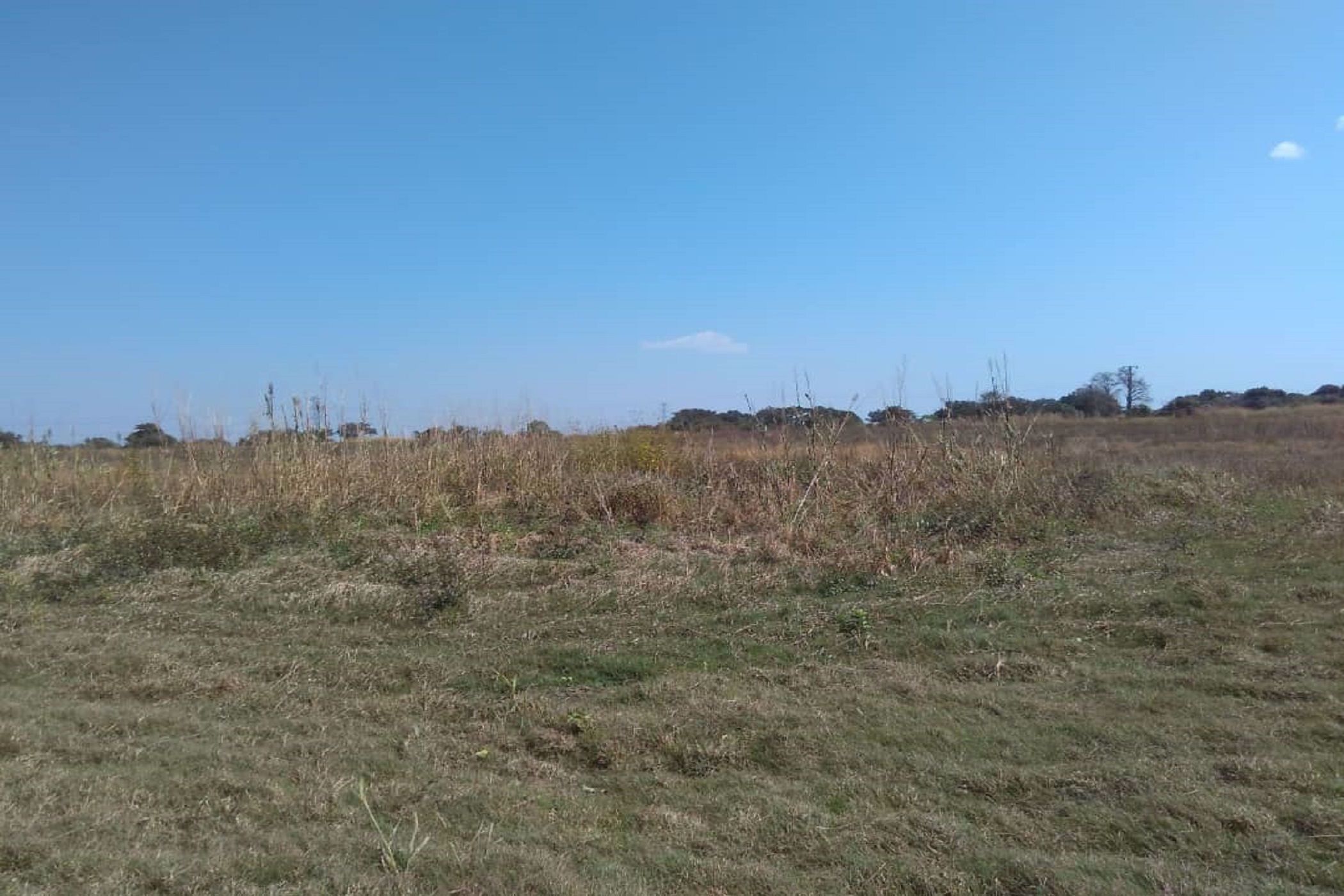 324.52 hectare Farm Vacant Land For Sale Lusaka West (Zambia) 3ZA1577947 Pam Golding