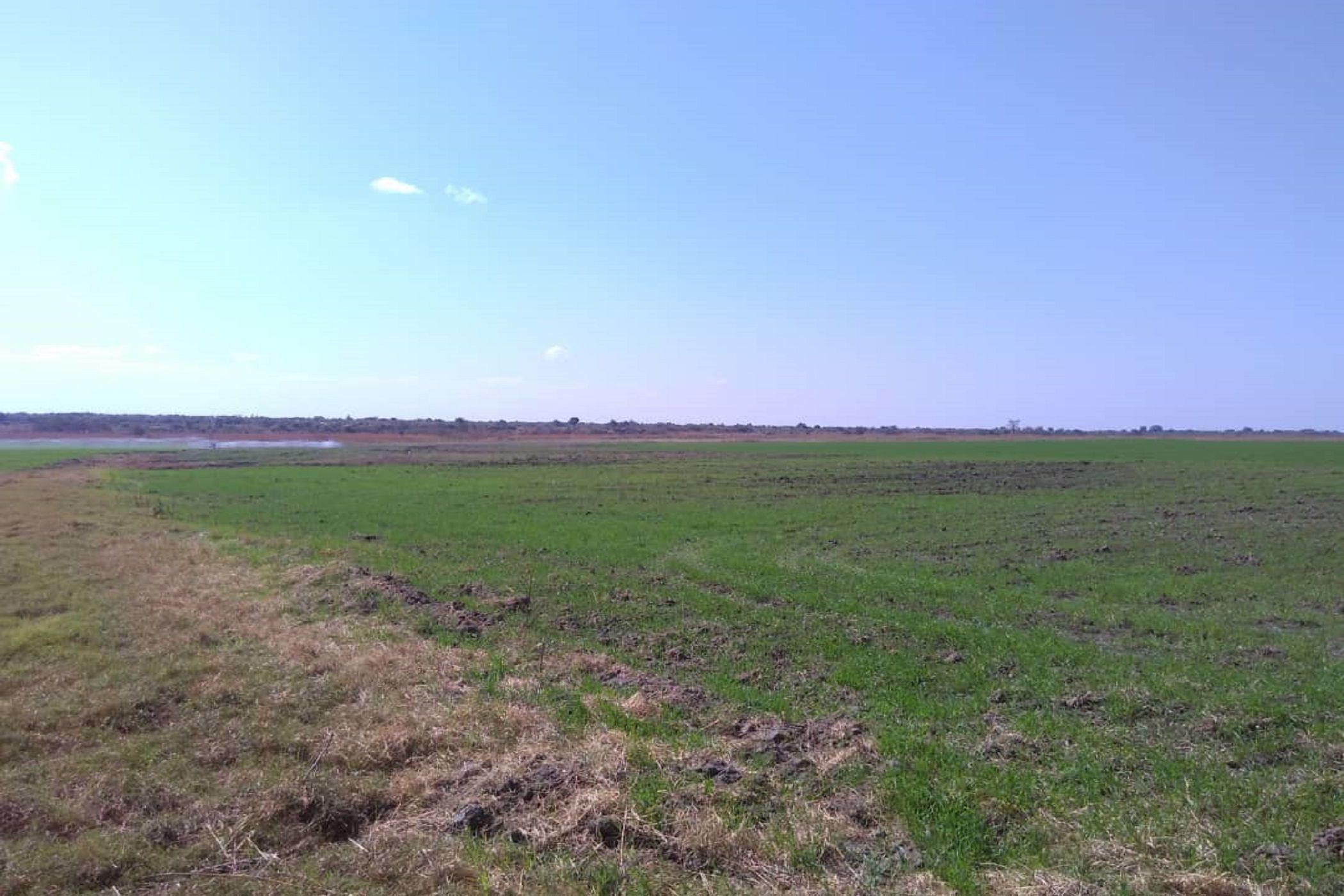 324.52 hectare Farm Vacant Land For Sale Lusaka West (Zambia