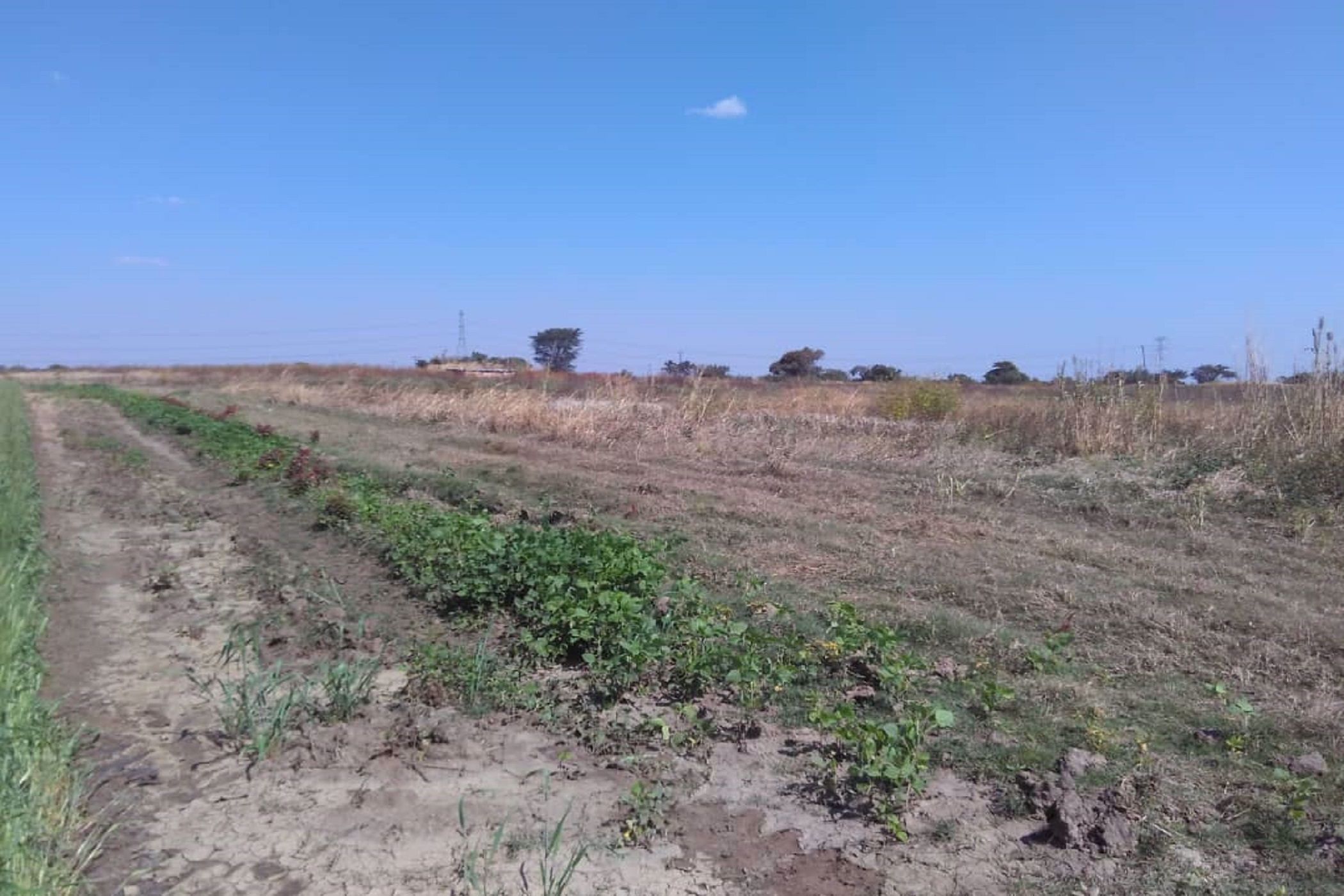 32452 Hectare Farm Vacant Land For Sale Lusaka West Zambia