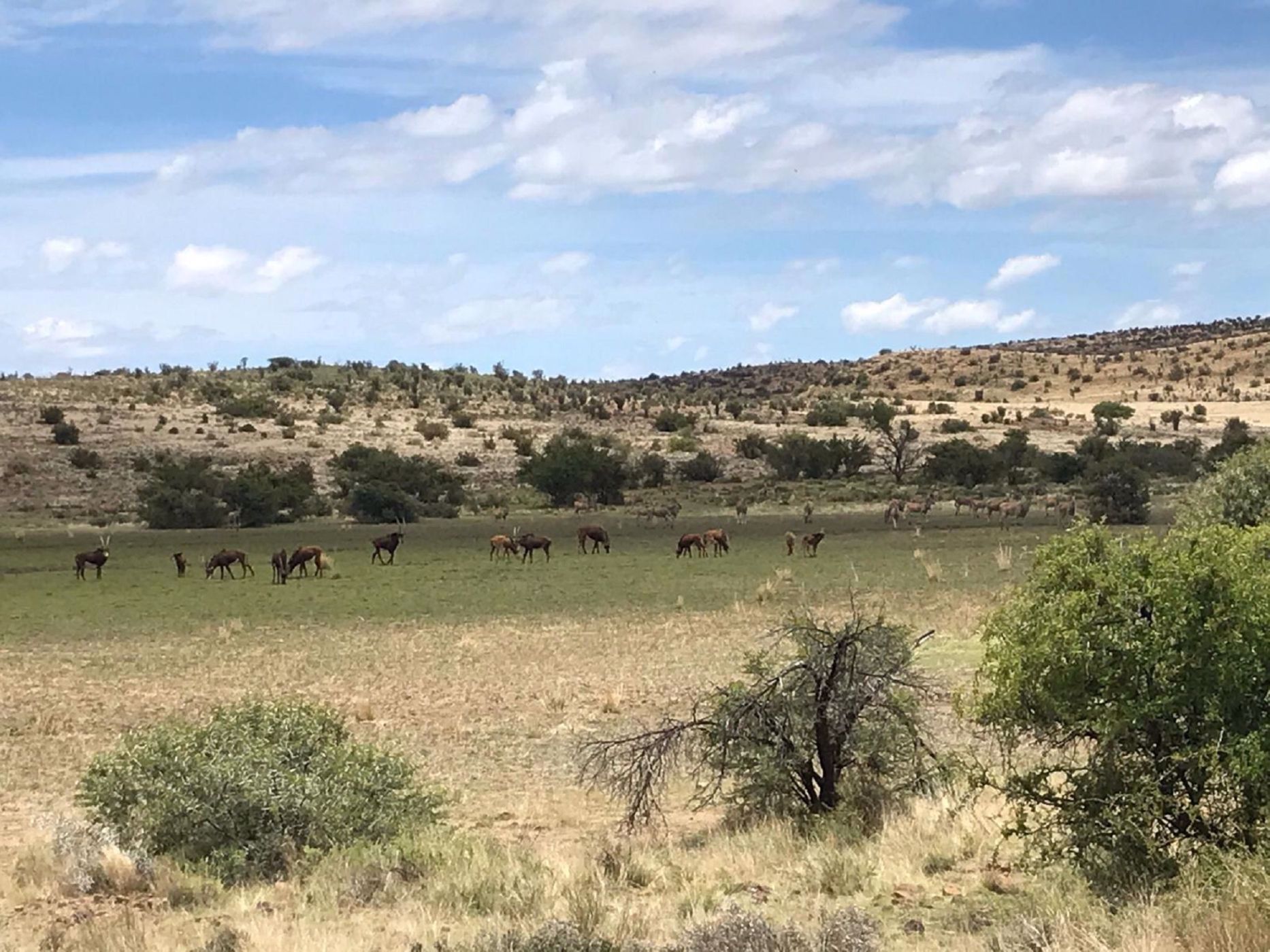 7649 hectare Game Farm For Sale Vanderkloof 1KK1575259 Pam