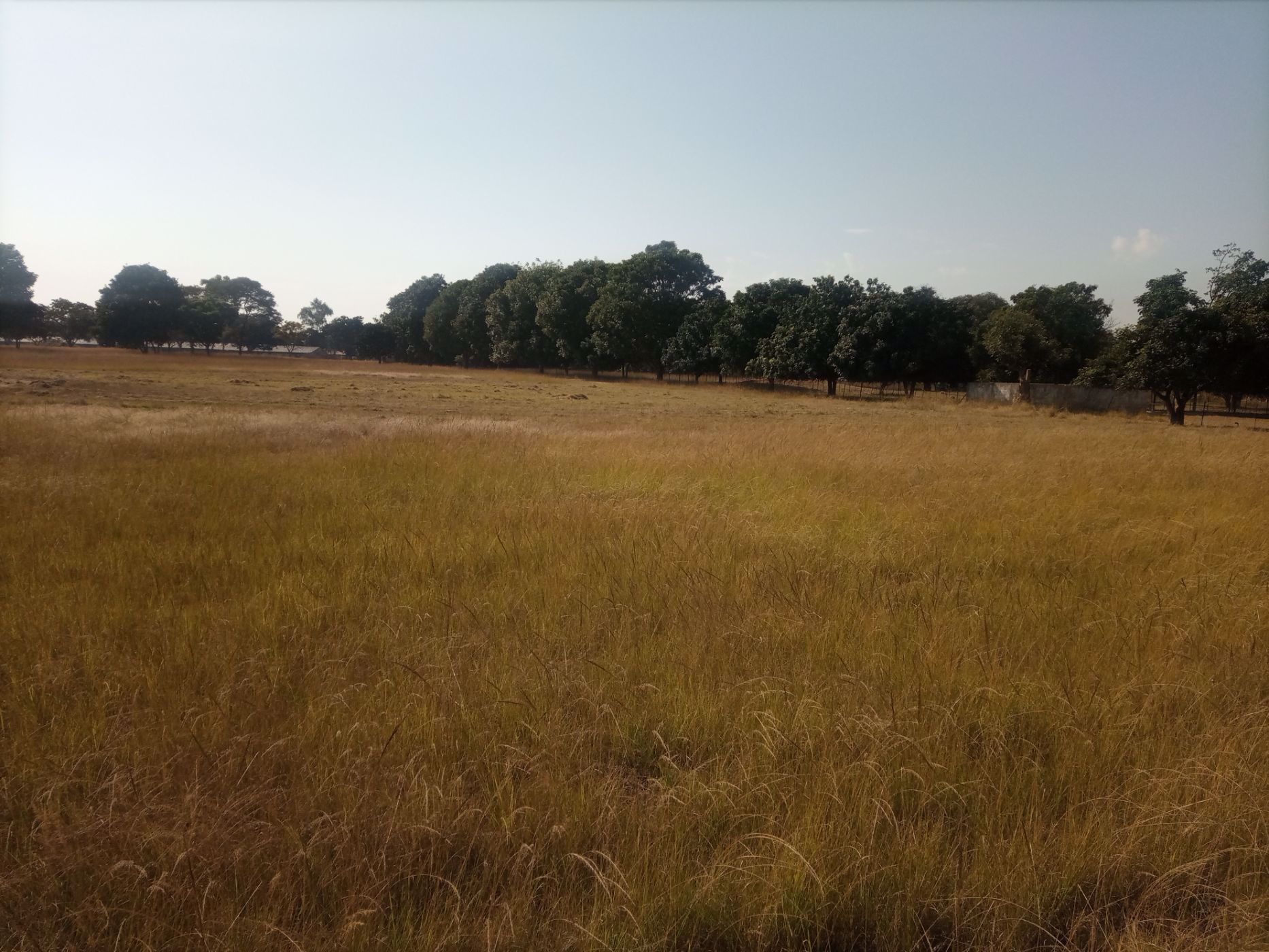 9000 m2 Vacant Land For Sale Lusaka (Lusaka, Zambia) 3ZA1576718
