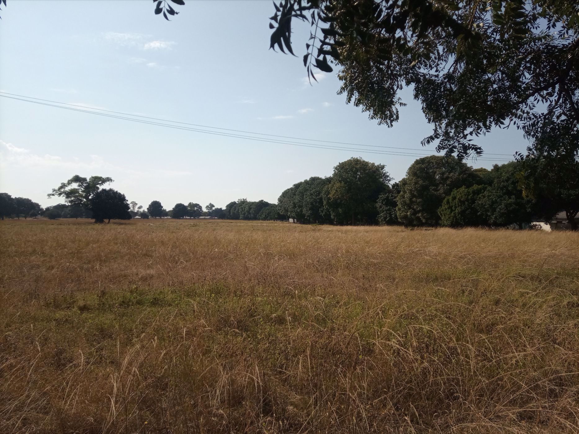 9000 m2 Vacant Land For Sale Lusaka (Lusaka, Zambia) 3ZA1576718
