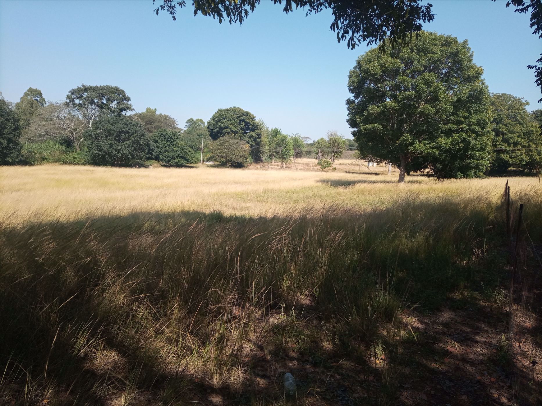 9000 m2 Vacant Land For Sale Lusaka (Lusaka, Zambia) 3ZA1576718