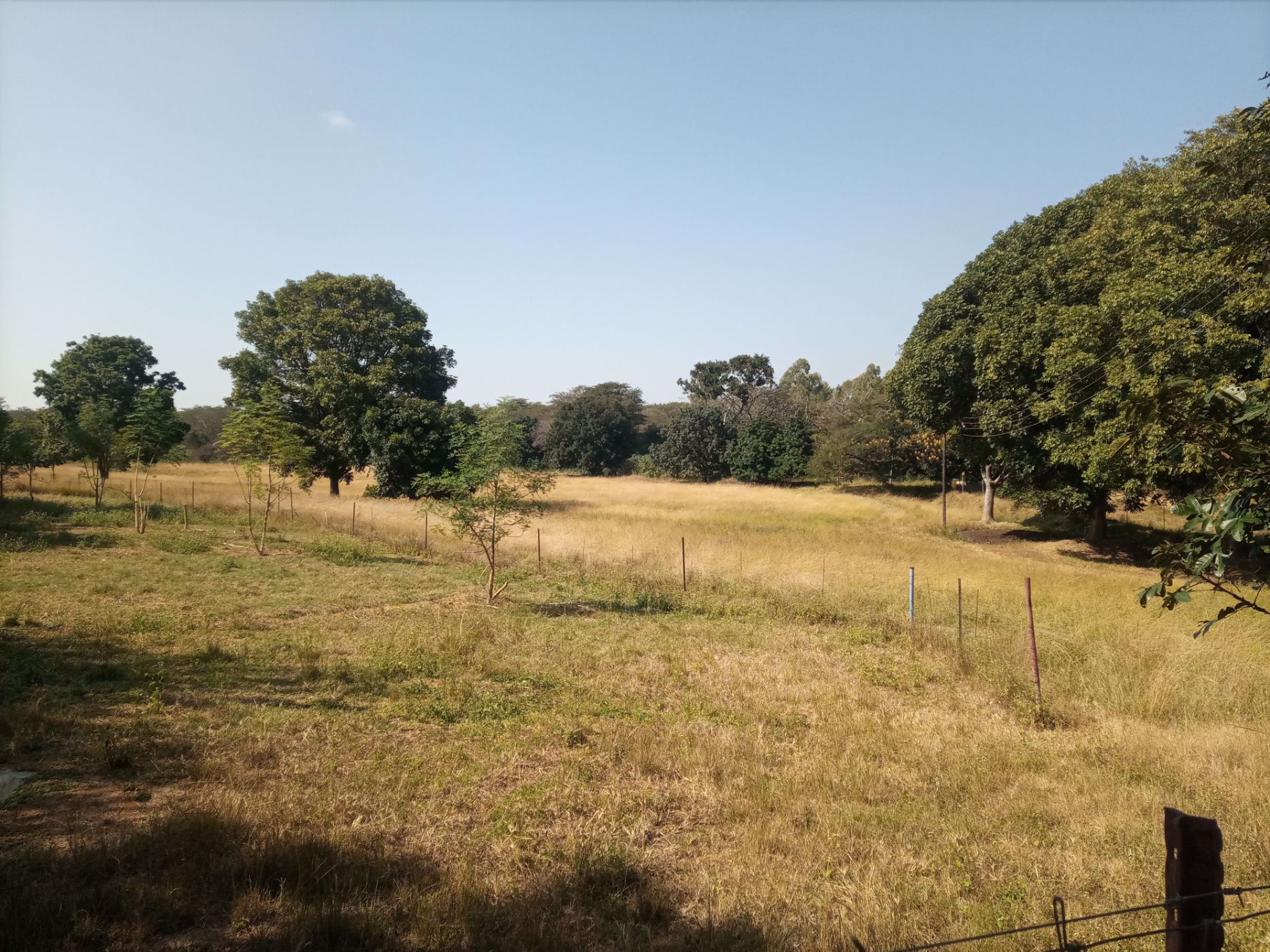 9000 m2 Vacant Land For Sale Lusaka (Lusaka, Zambia) 3ZA1576718