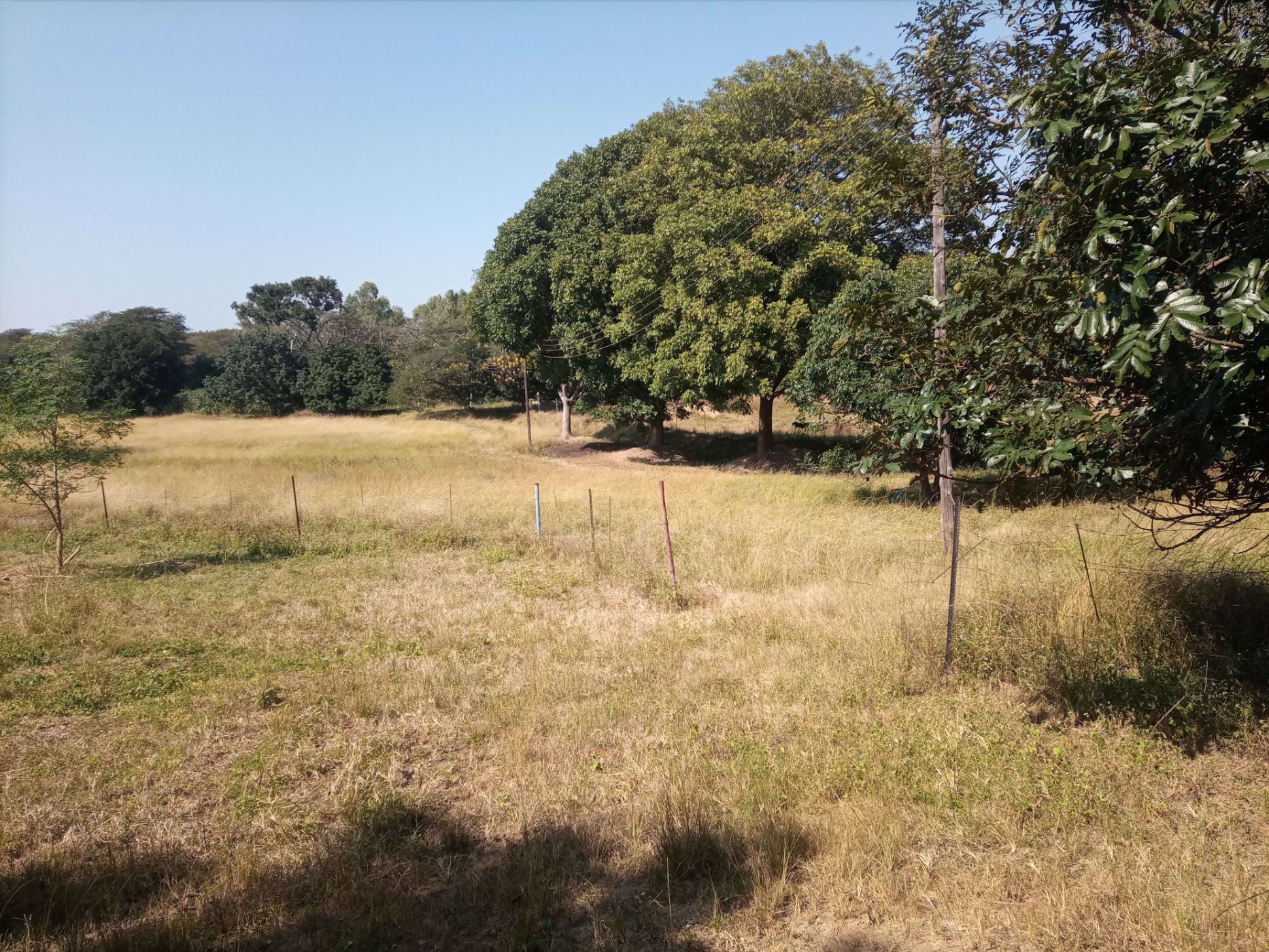 9000 m2 Vacant Land For Sale | Lusaka (Lusaka, Zambia) | 3ZA1576718 ...