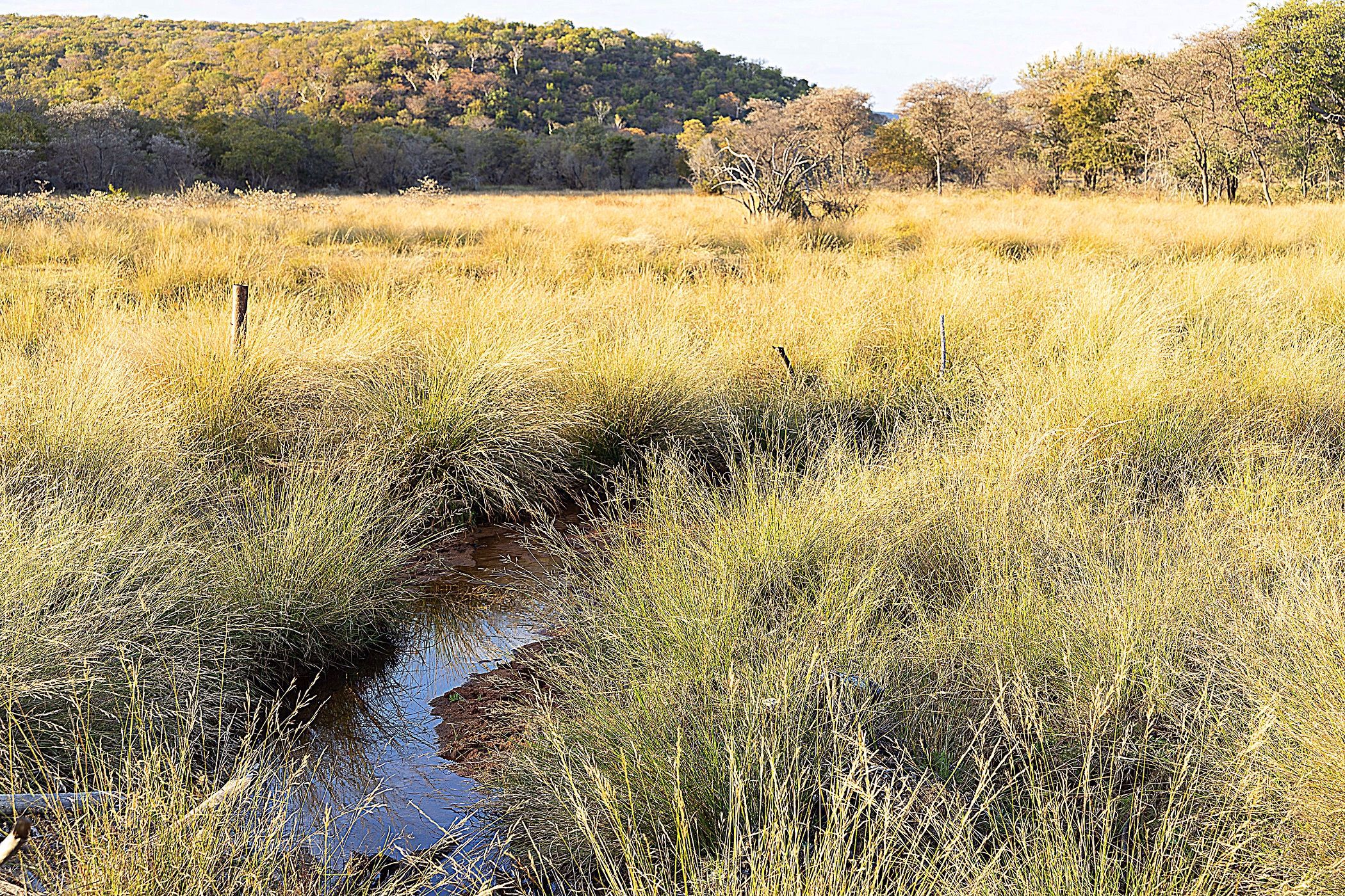 3346 hectare game farm for sale in Lephalale Rural