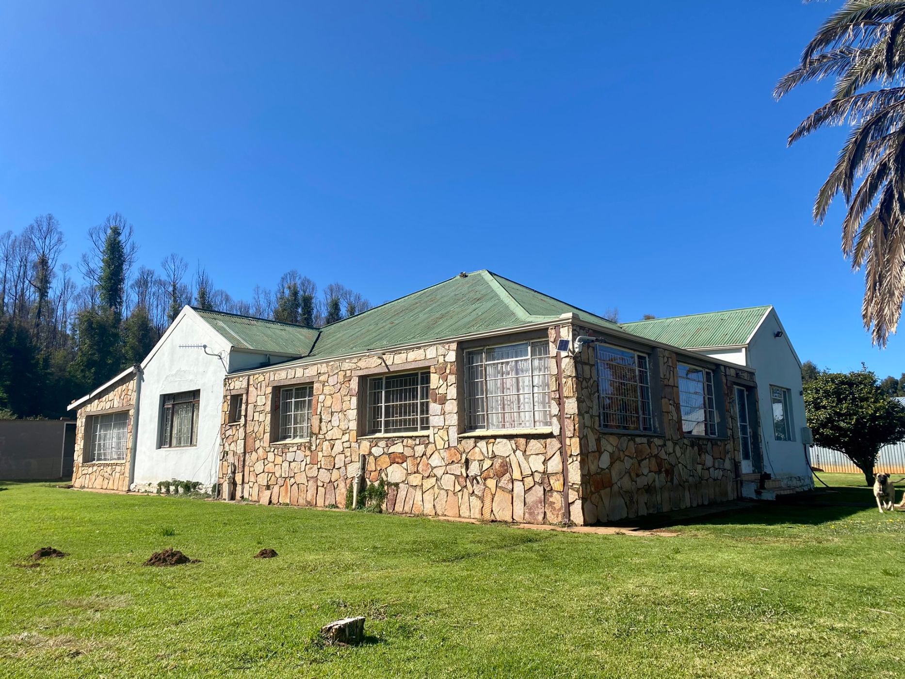 269.6 hectare Mixed Use Farm For Sale Dullstroom 1DS1575957 Pam