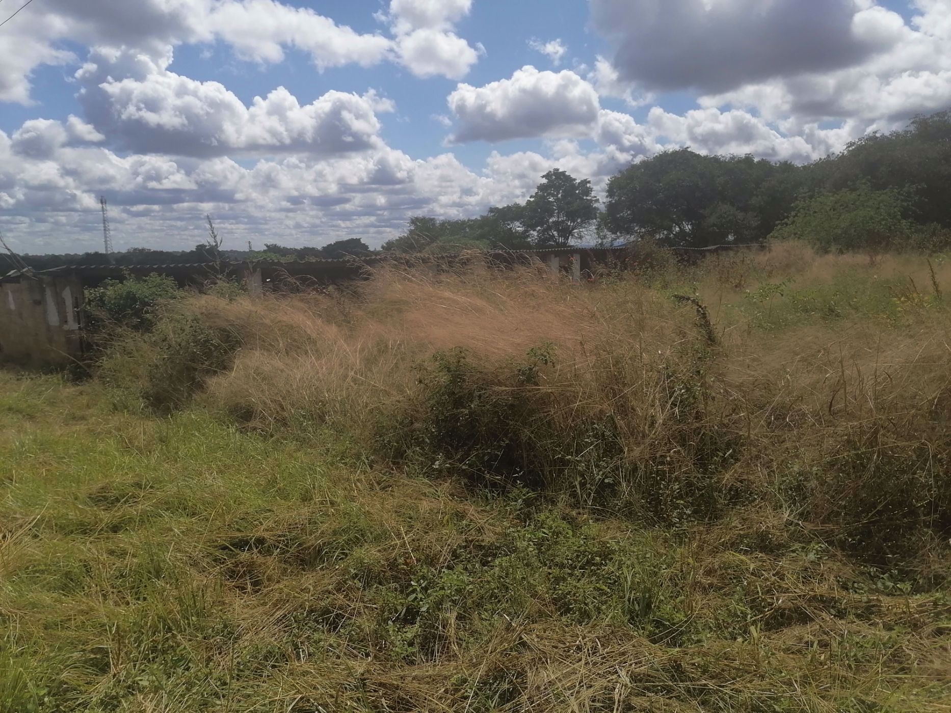 2500 m2 Residential Vacant Land For Sale Lusaka West (Zambia) 3ZA1574980 Pam Golding