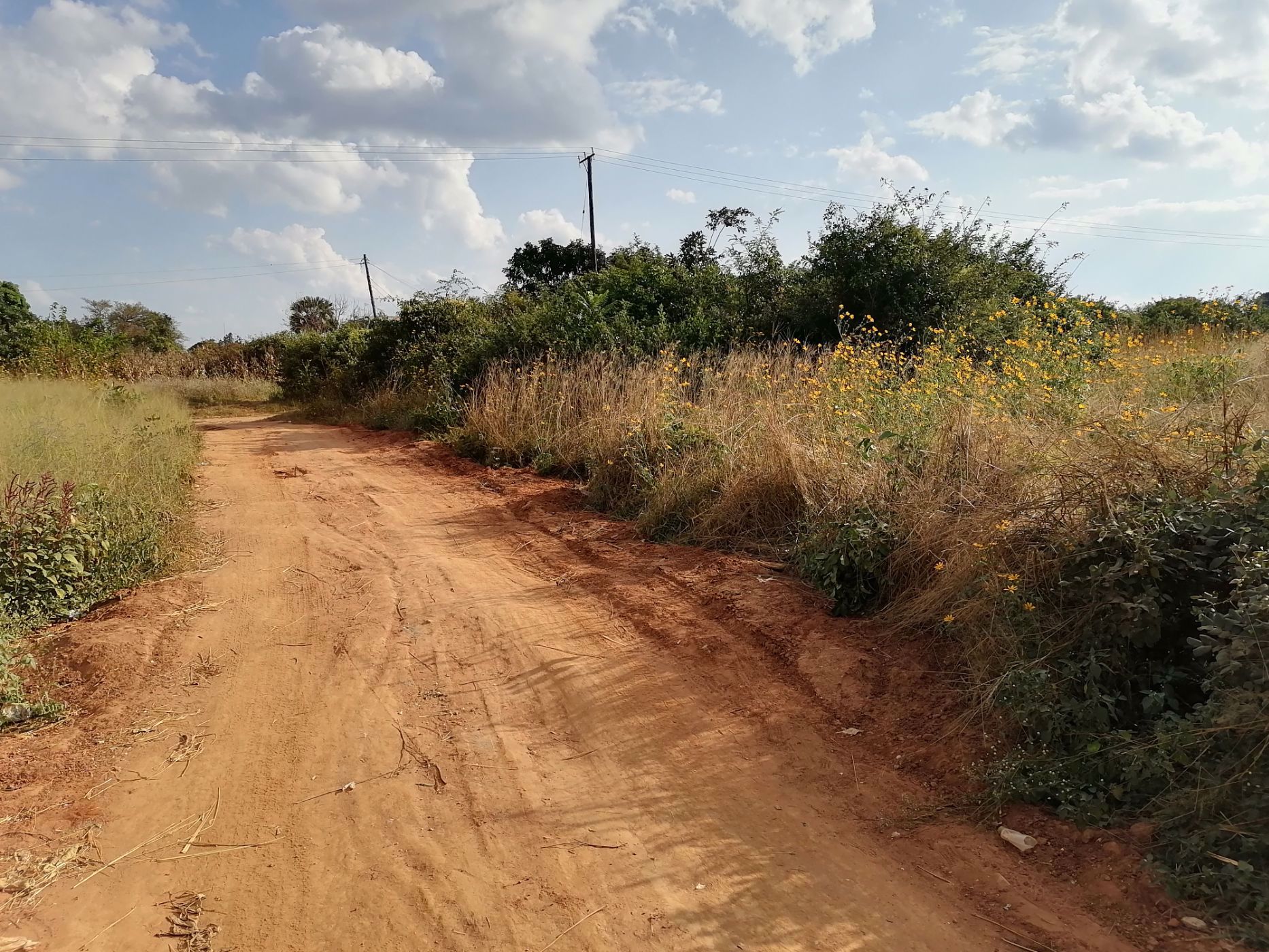 2500 m2 Residential Vacant Land For Sale Lusaka West (Zambia) 3ZA1574980 Pam Golding