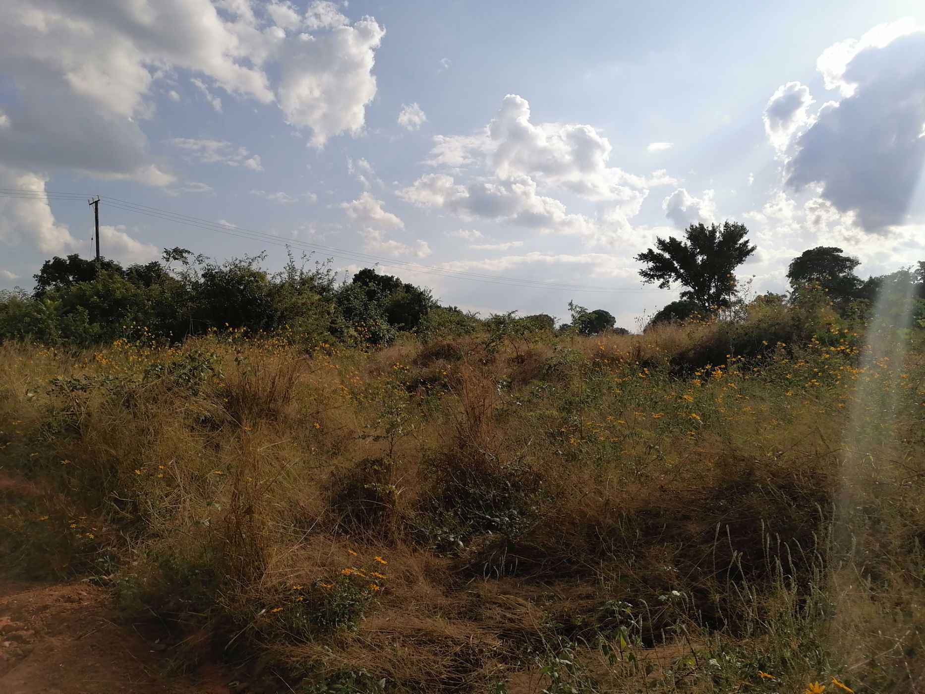 2500 m2 Residential Vacant Land For Sale Lusaka West (Zambia) 3ZA1574980 Pam Golding
