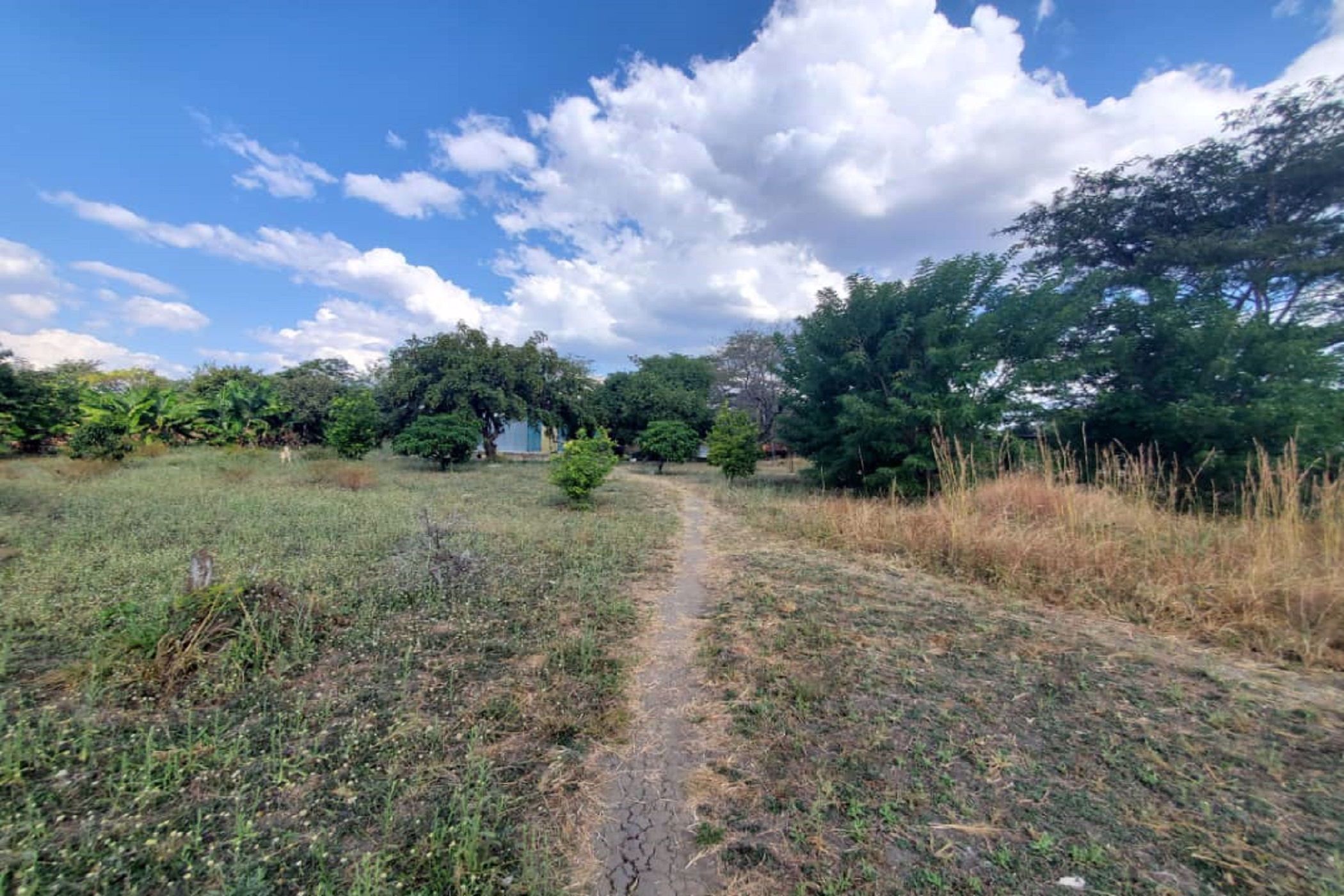 3.92 hectare Farm Vacant Land For Sale Lusaka West (Zambia) 3ZA1575857 Pam Golding Properties