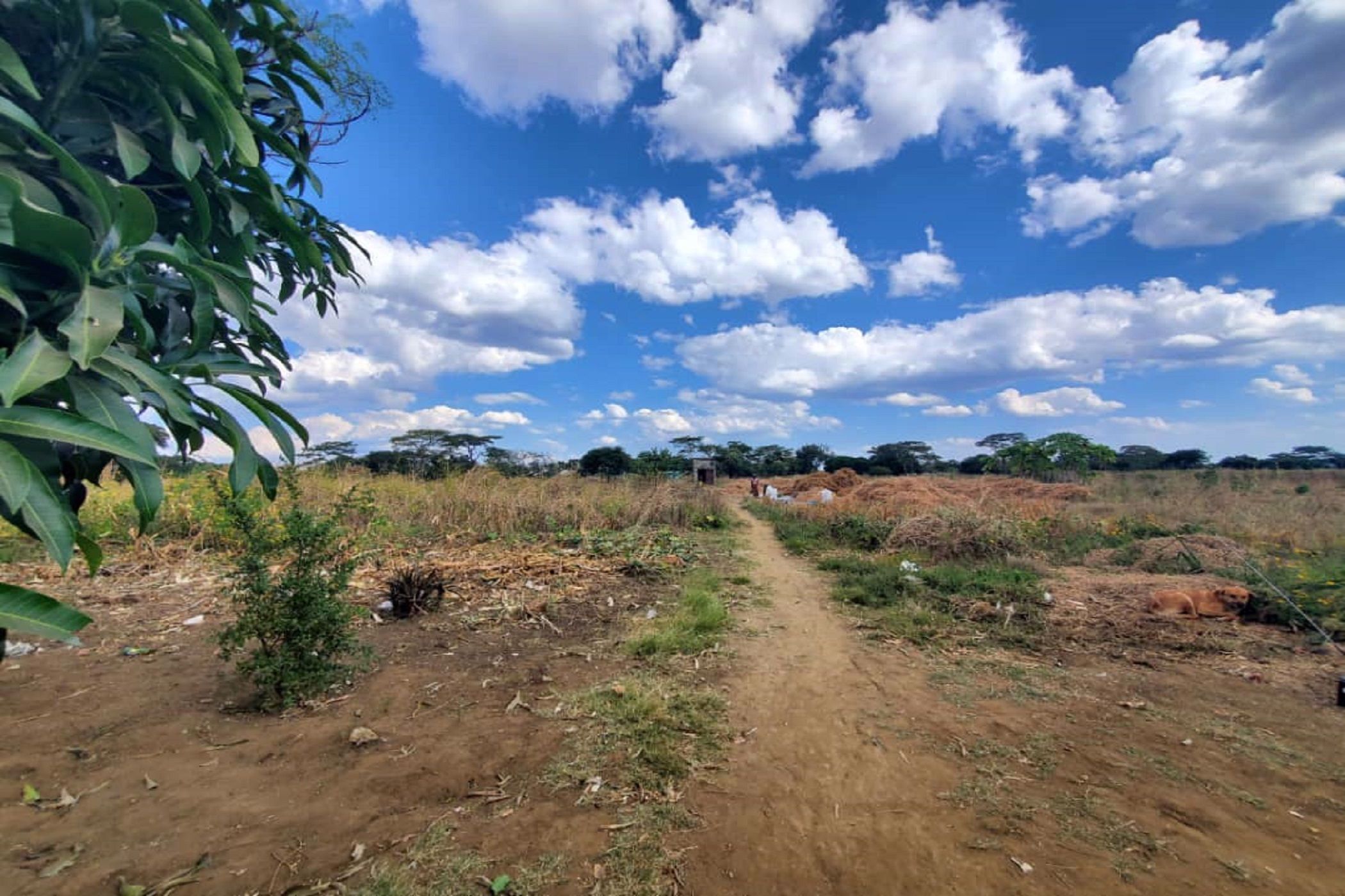 3.92 hectare Farm Vacant Land For Sale Lusaka West (Zambia