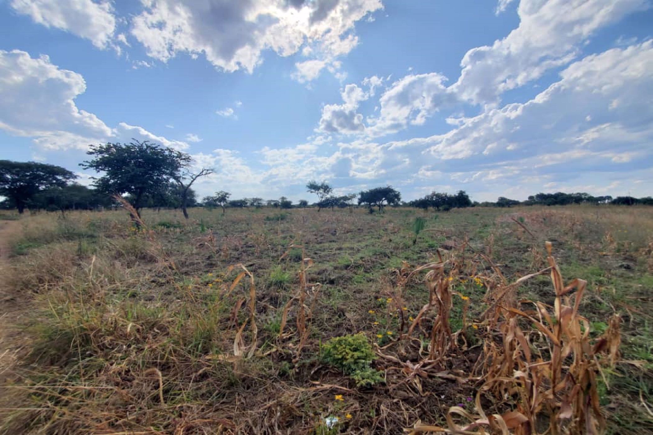 3.92 hectare Farm Vacant Land For Sale Lusaka West (Zambia) 3ZA1575857 Pam Golding Properties