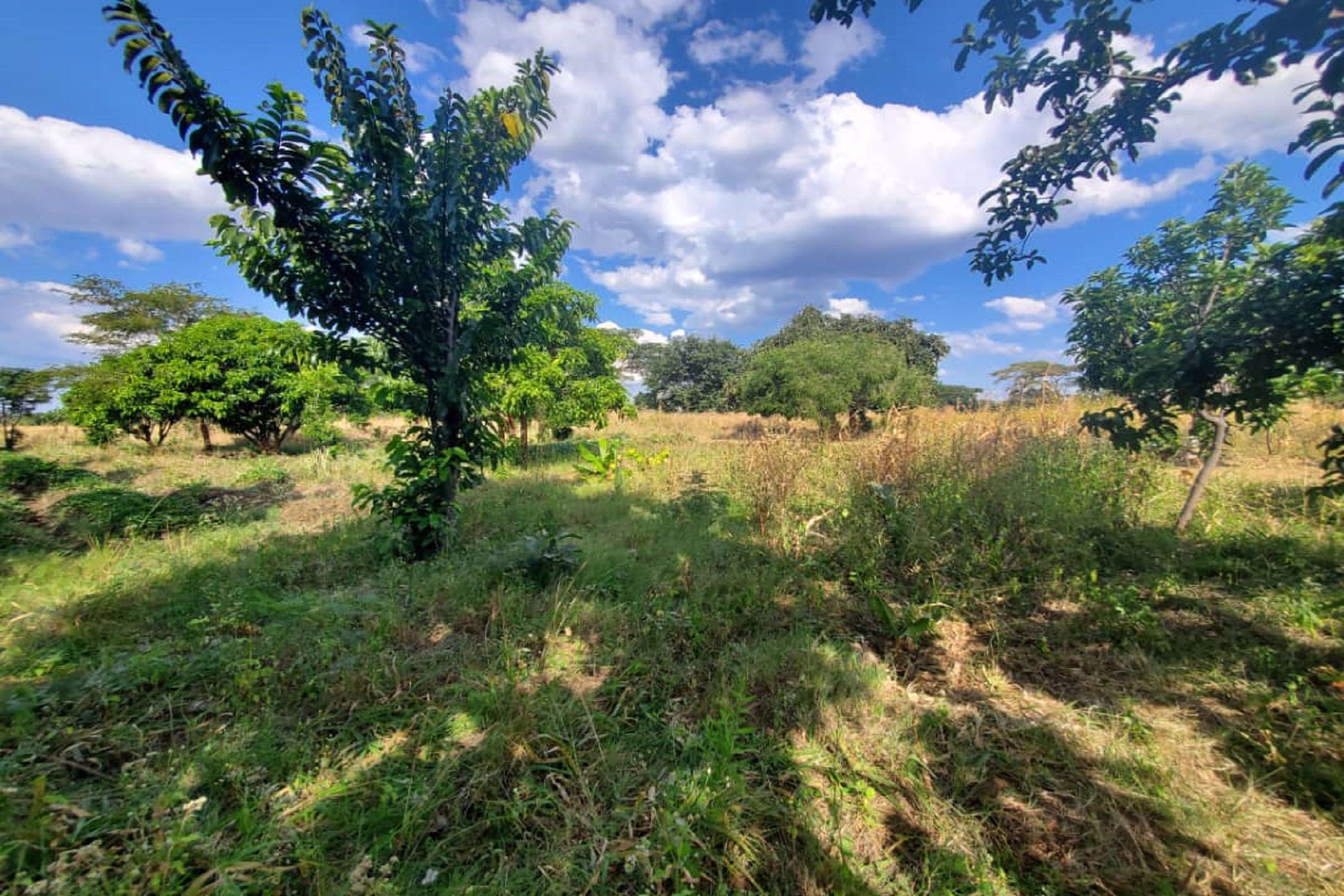 3.92 hectare Farm Vacant Land For Sale Lusaka West (Zambia) 3ZA1575857 Pam Golding Properties