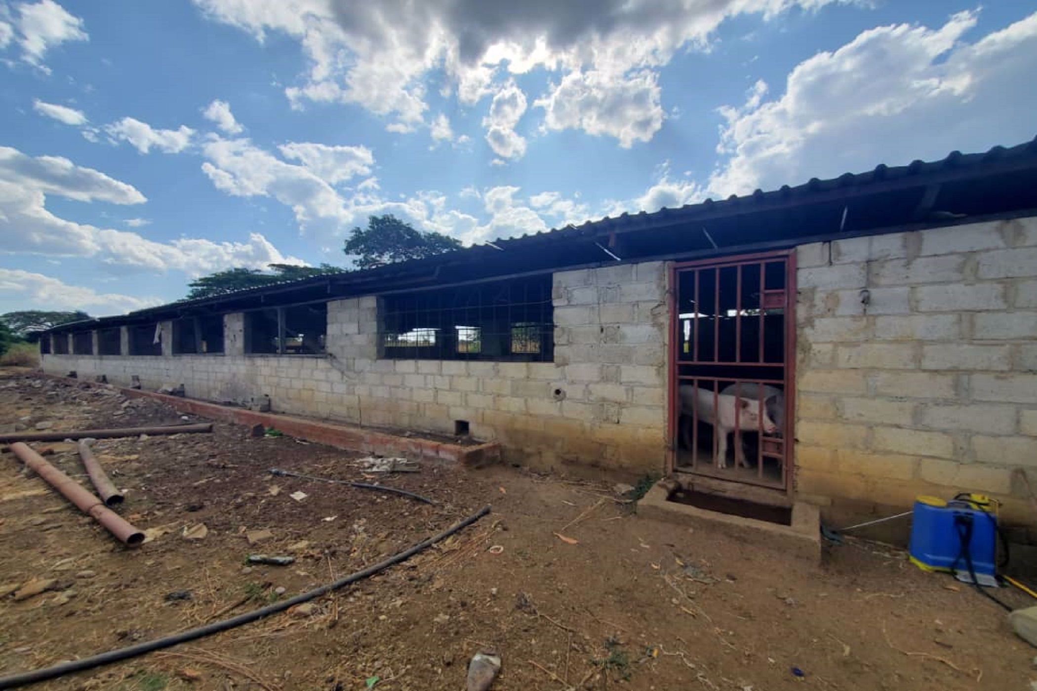 3.92 hectare Farm Vacant Land For Sale Lusaka West (Zambia) 3ZA1575857 Pam Golding Properties