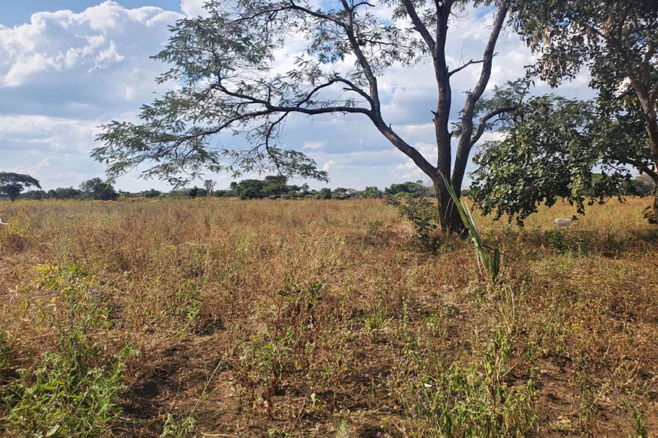 4 hectare Vacant Land For Sale Lusaka West (Zambia) 3ZA1575871