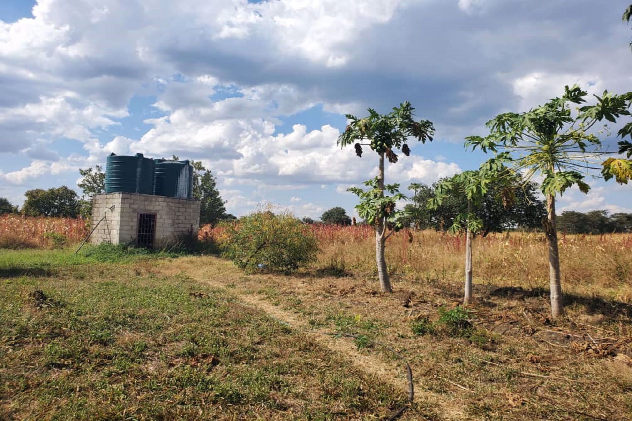 4 hectare Vacant Land For Sale Lusaka West (Zambia) 3ZA1575871