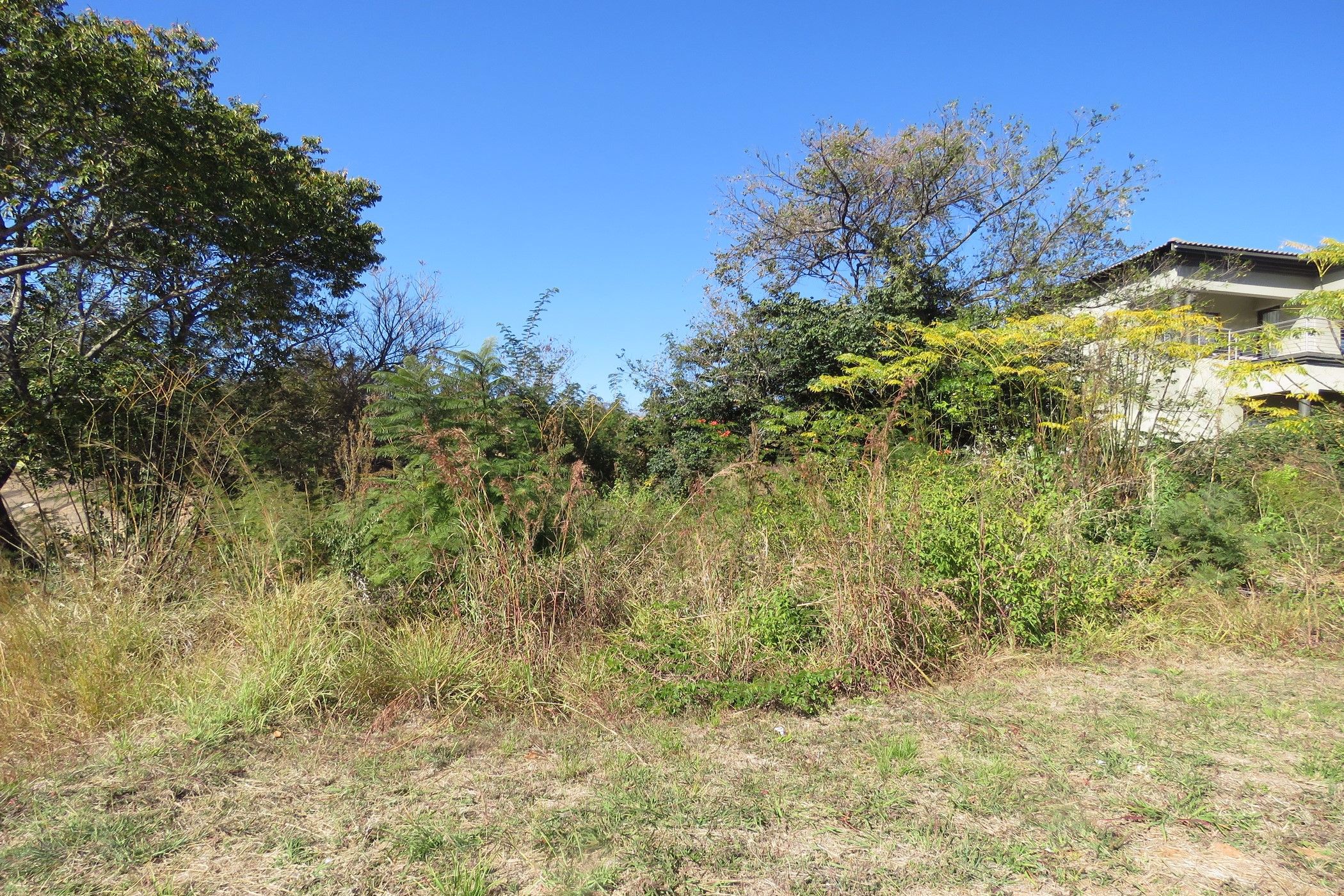 1200 m2 Vacant Land For Sale Drum Rock 1WR1577013 Pam Golding