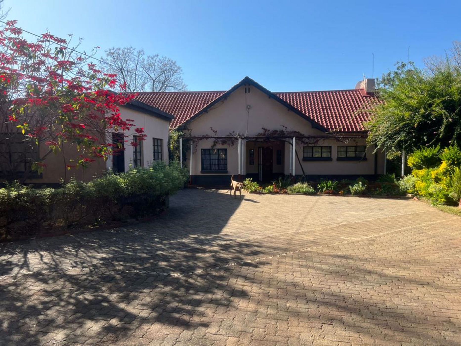 house-for-sale-bulawayo-zimbabwe-3zb1577063-pam-golding-properties