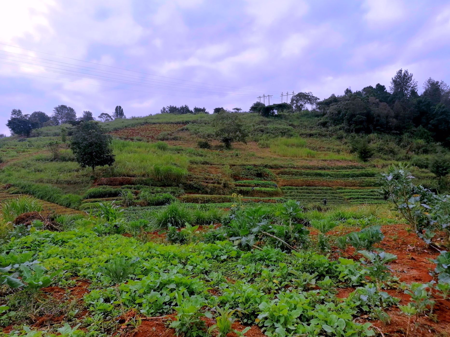 1 Acres Vacant Land For Sale Redhill (Kenya) 3KE1577420 Pam