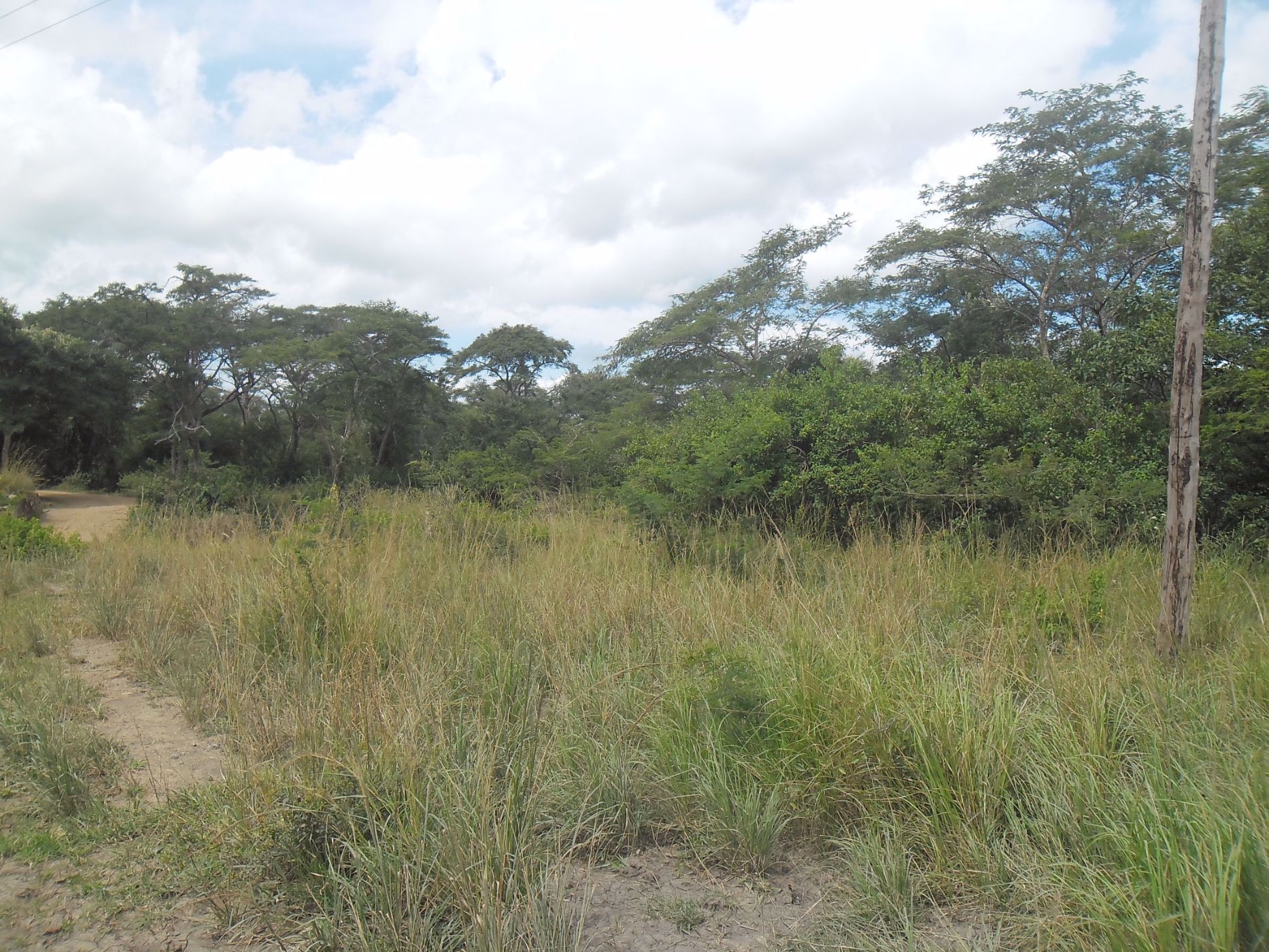 2000 m&sup2; residential vacant land for sale in Water Falls (Zambia)