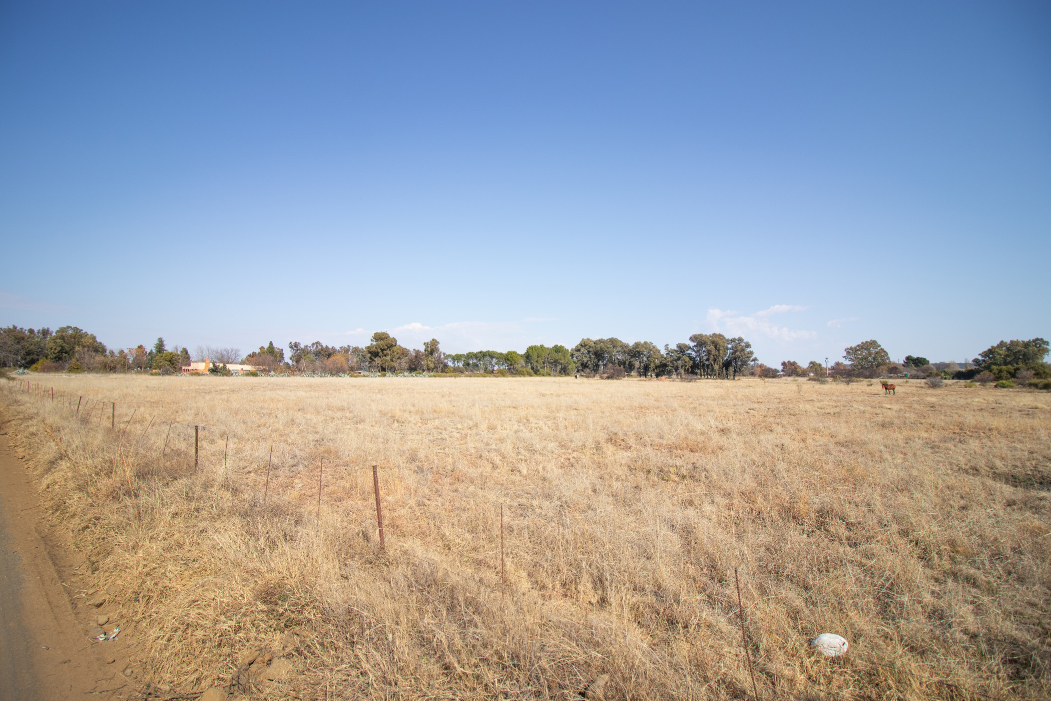 3.95 hectare Vacant Land For Sale Estoire 1BX1579335 Pam Golding