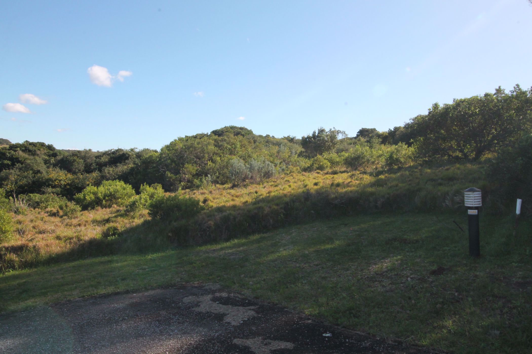 1153 m2 Residential Vacant Land For Sale Forest Downs 1PF1577772