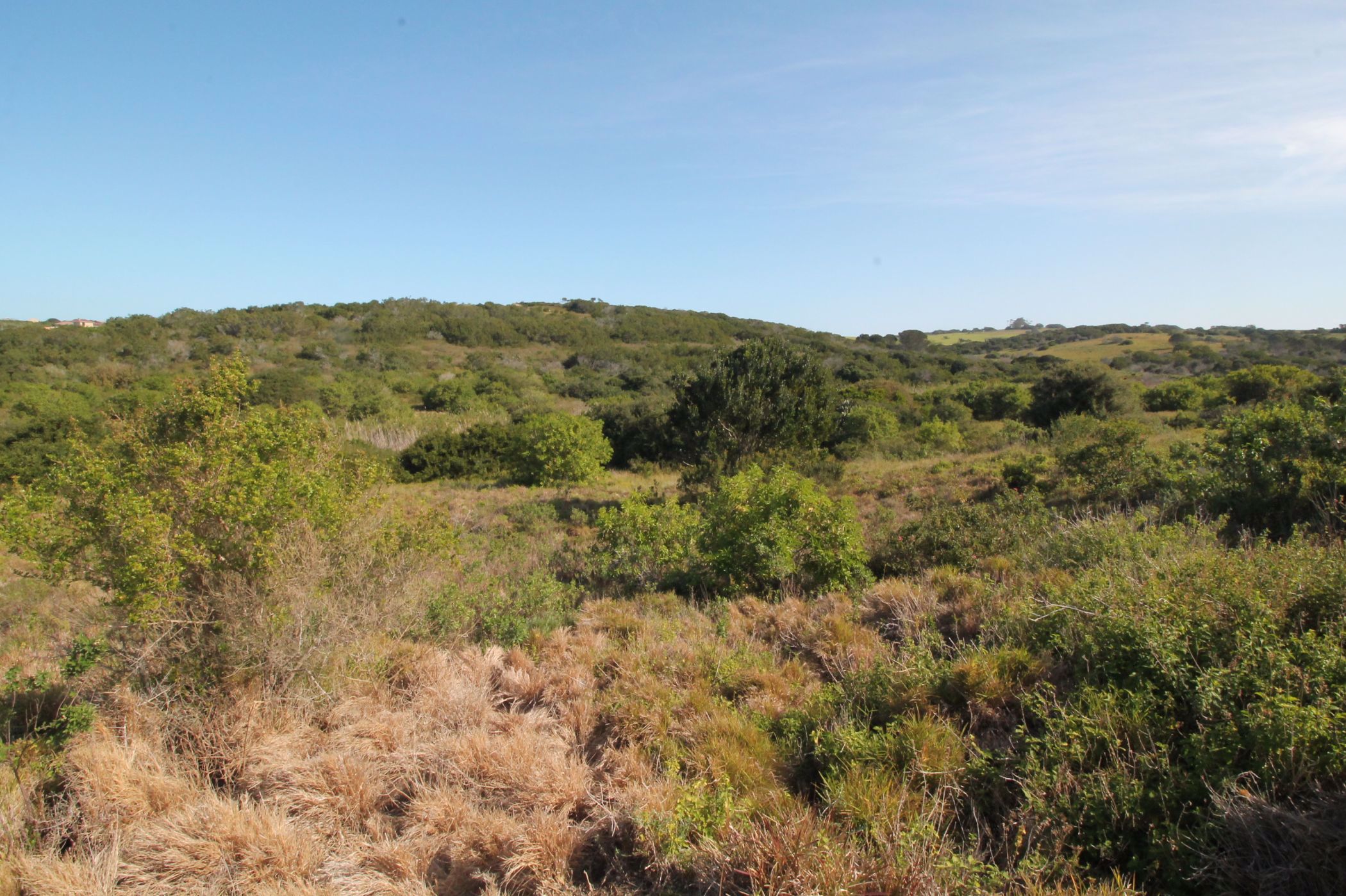 1233 m2 Residential Vacant Land For Sale Forest Downs 1PF1582124