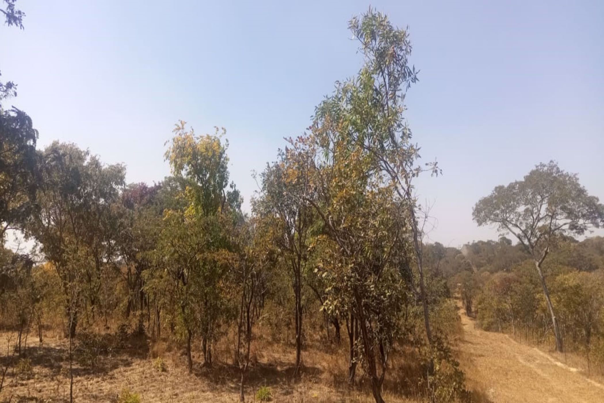 4000 m2 Vacant Land For Sale Leopards Hill (Zambia) 3ZA1580898