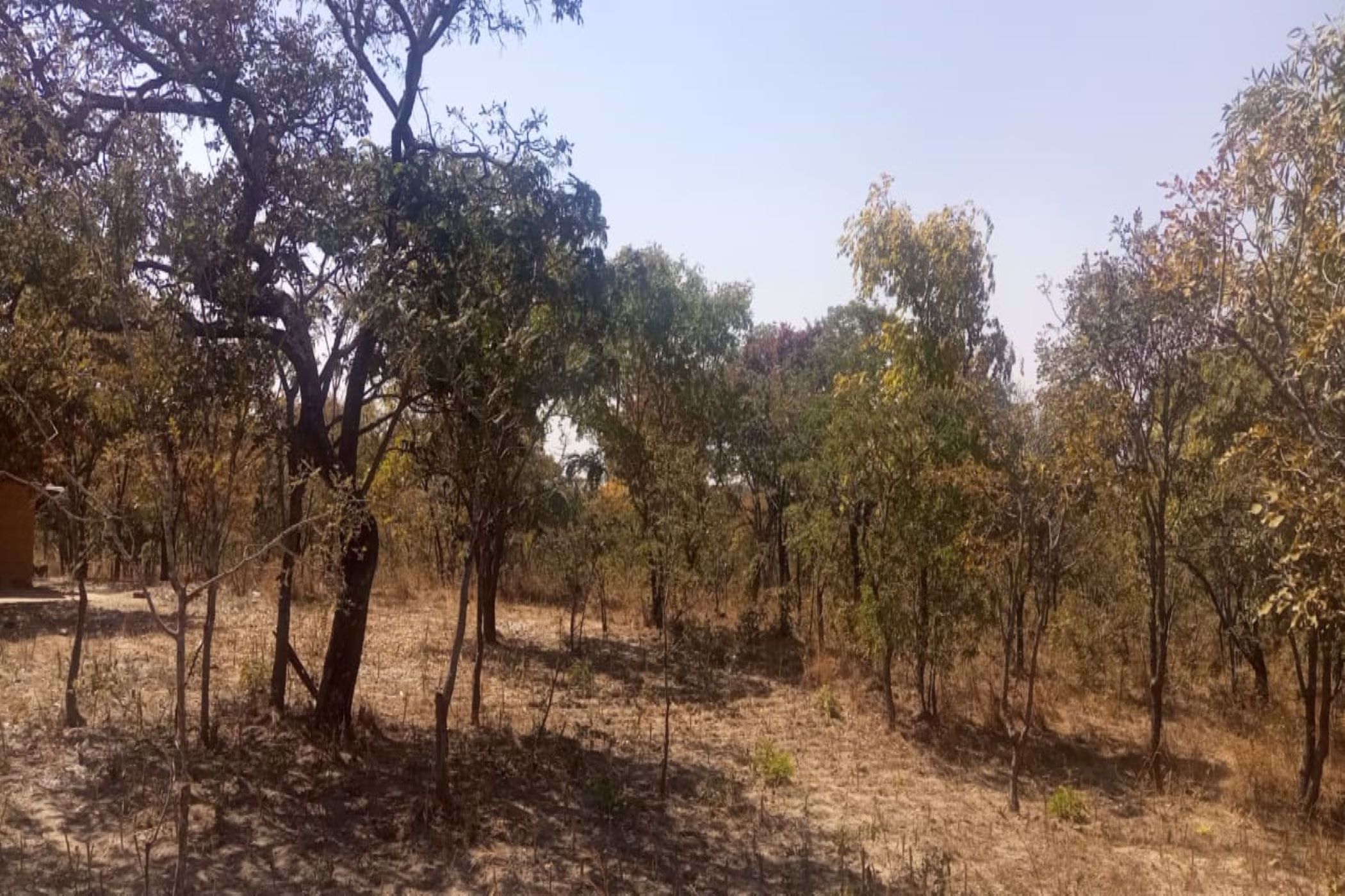 4000 m2 Vacant Land For Sale Leopards Hill (Zambia) 3ZA1580898