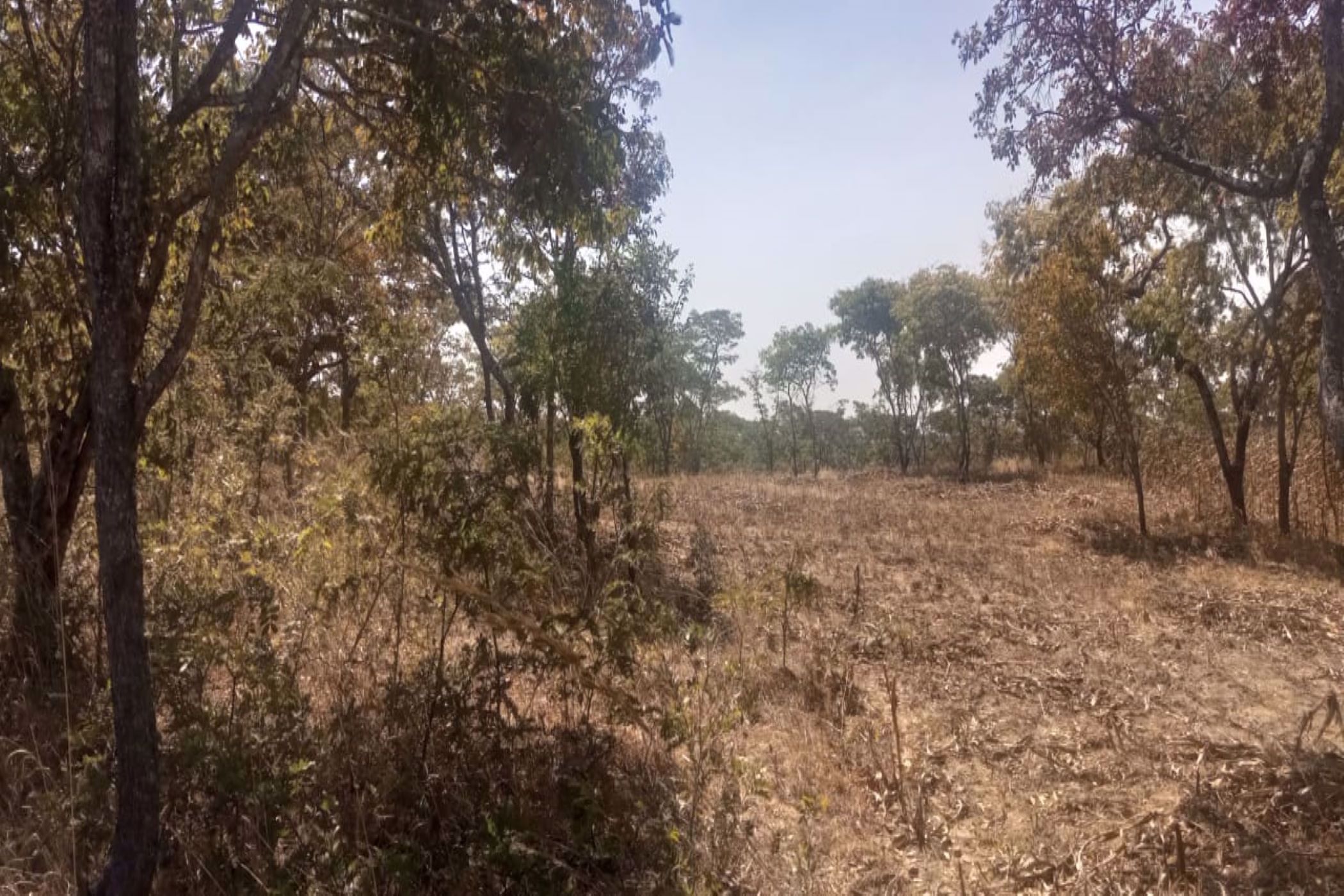 4000 m2 Vacant Land For Sale Leopards Hill (Zambia) 3ZA1580898