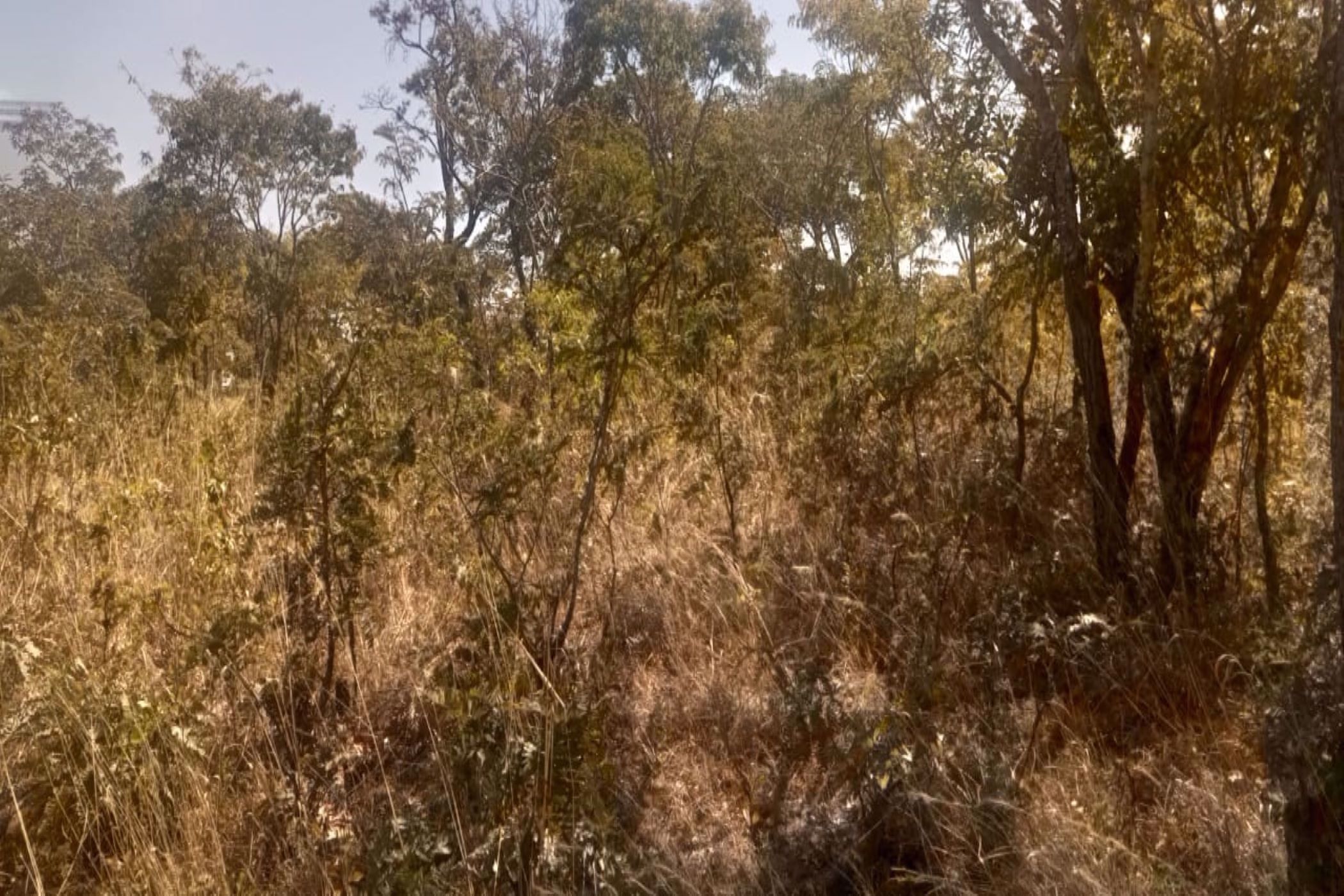 4000 m2 Vacant Land For Sale Leopards Hill (Zambia) 3ZA1580898