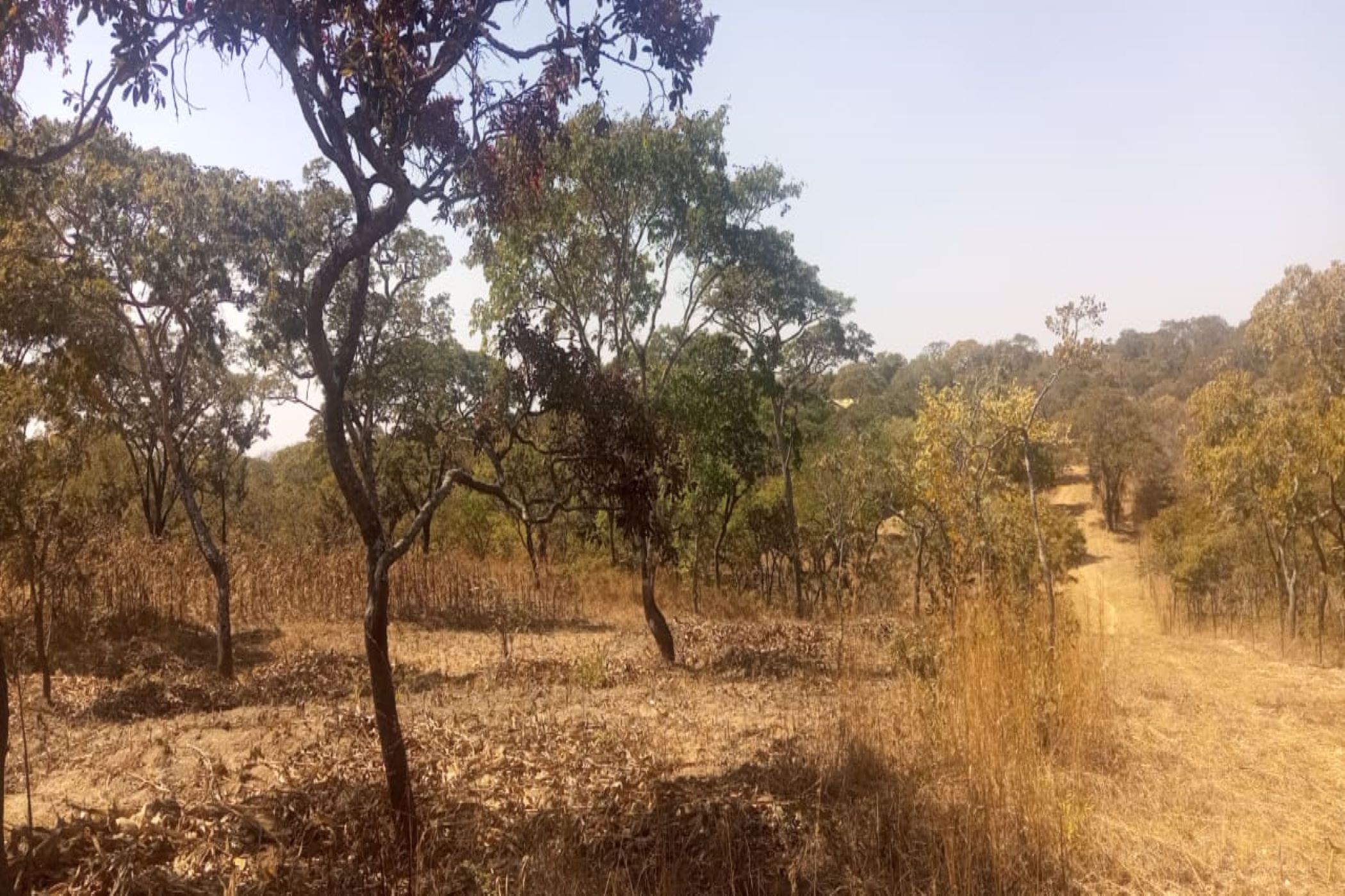 4000 m2 Vacant Land For Sale Leopards Hill (Zambia) 3ZA1580898