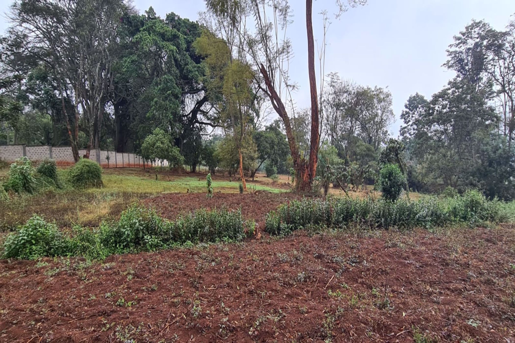 4046 m&sup2; commercial vacant land to rent in Loresho (Kenya)