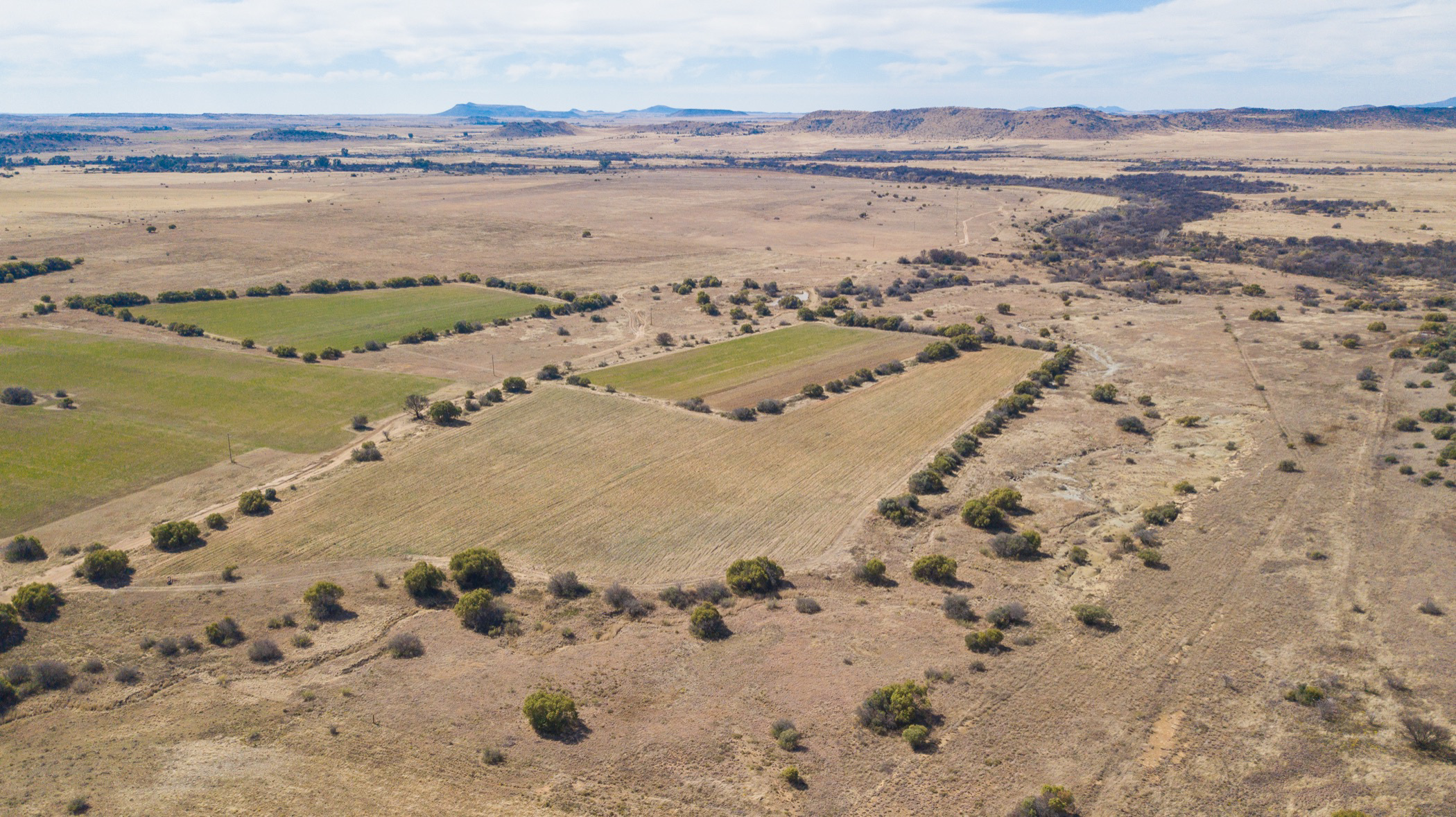 491.53 hectare Mixed Use Farm For Sale Bloemfontein Rural