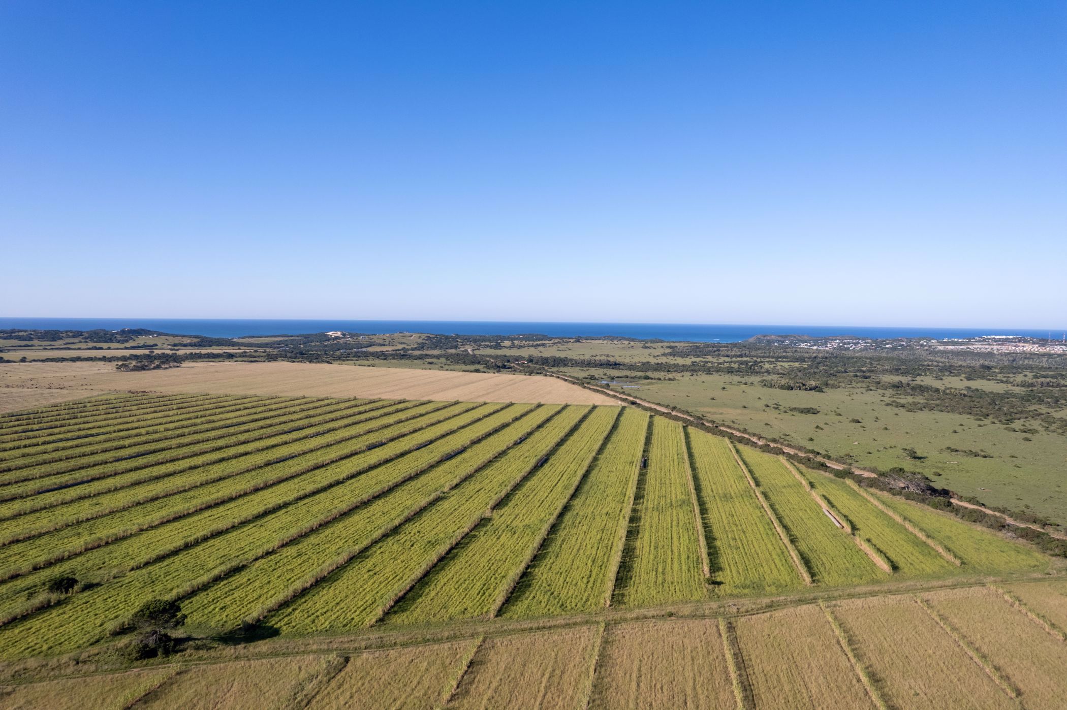 686 hectare Lifestyle Property For Sale Kenton on Sea 1KO1581729