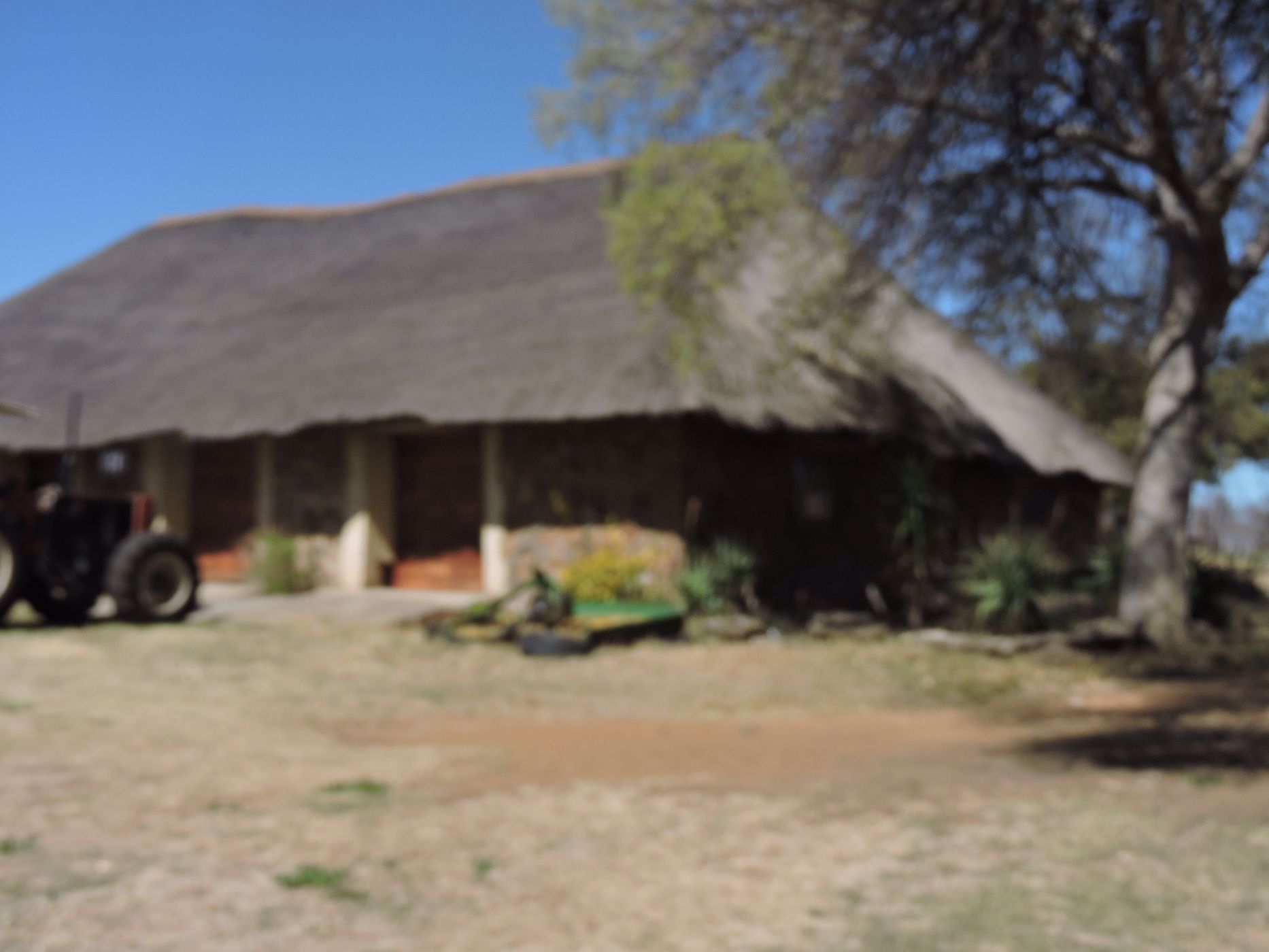 269.52 hectare Nut Farm For Sale Lichtenburg 1RU1581865 Pam