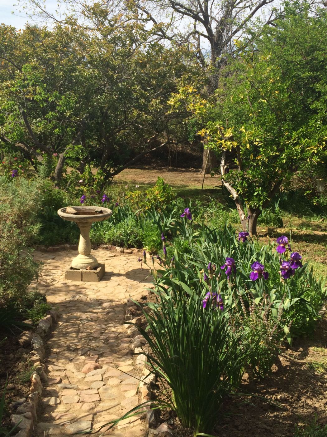 3 Bedroom Singlestorey House For Sale Prince Albert 1KK1582169