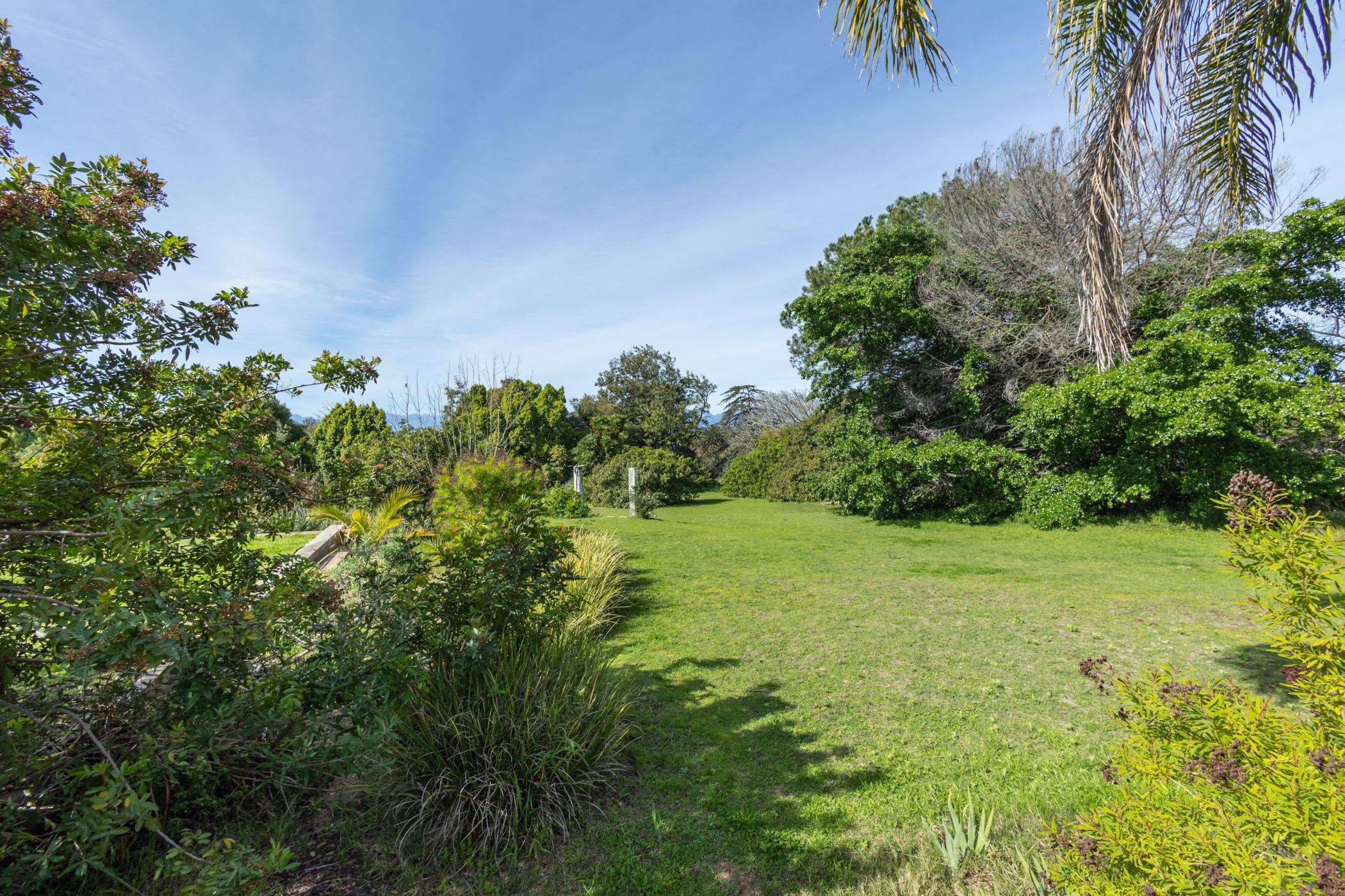 11619 m2 Residential Vacant Land For Sale Vygeboom DBV1582089 Pam