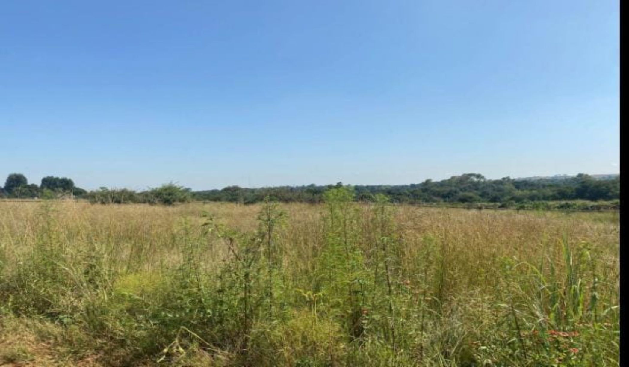 2903 m&sup2; residential vacant land for sale in Mthatha