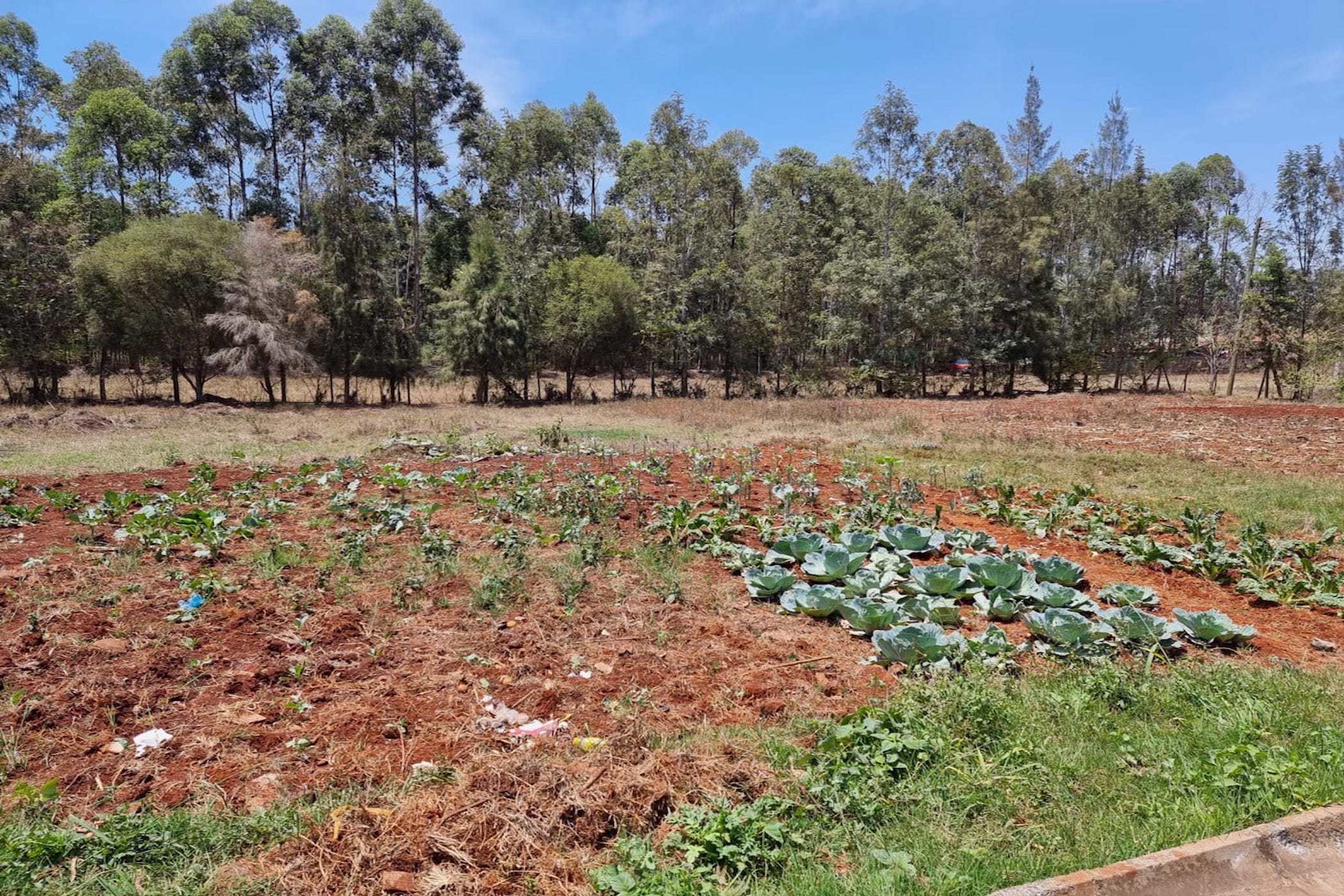 0.5 acres residential vacant land for sale in Garden Estate (Kenya)