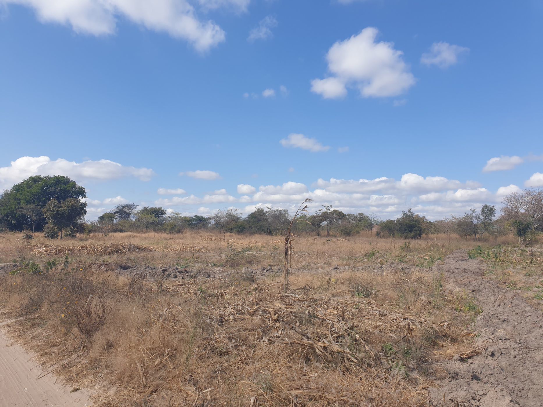 Vacant Land For Sale Silverest (Zambia) 3ZA1583392 Pam Golding